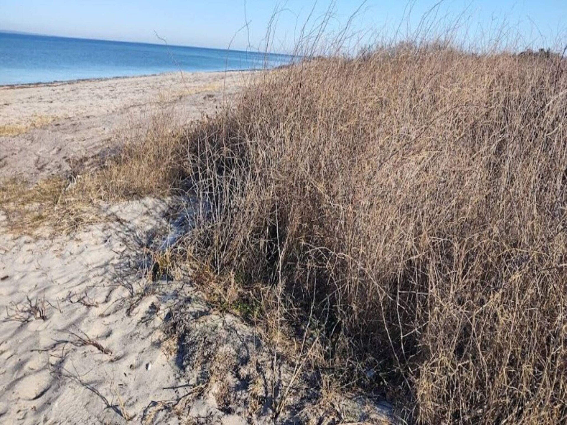 Licht vakantiehuis op Langeland, 800 meter van kindvriendelijk strand - foto 3