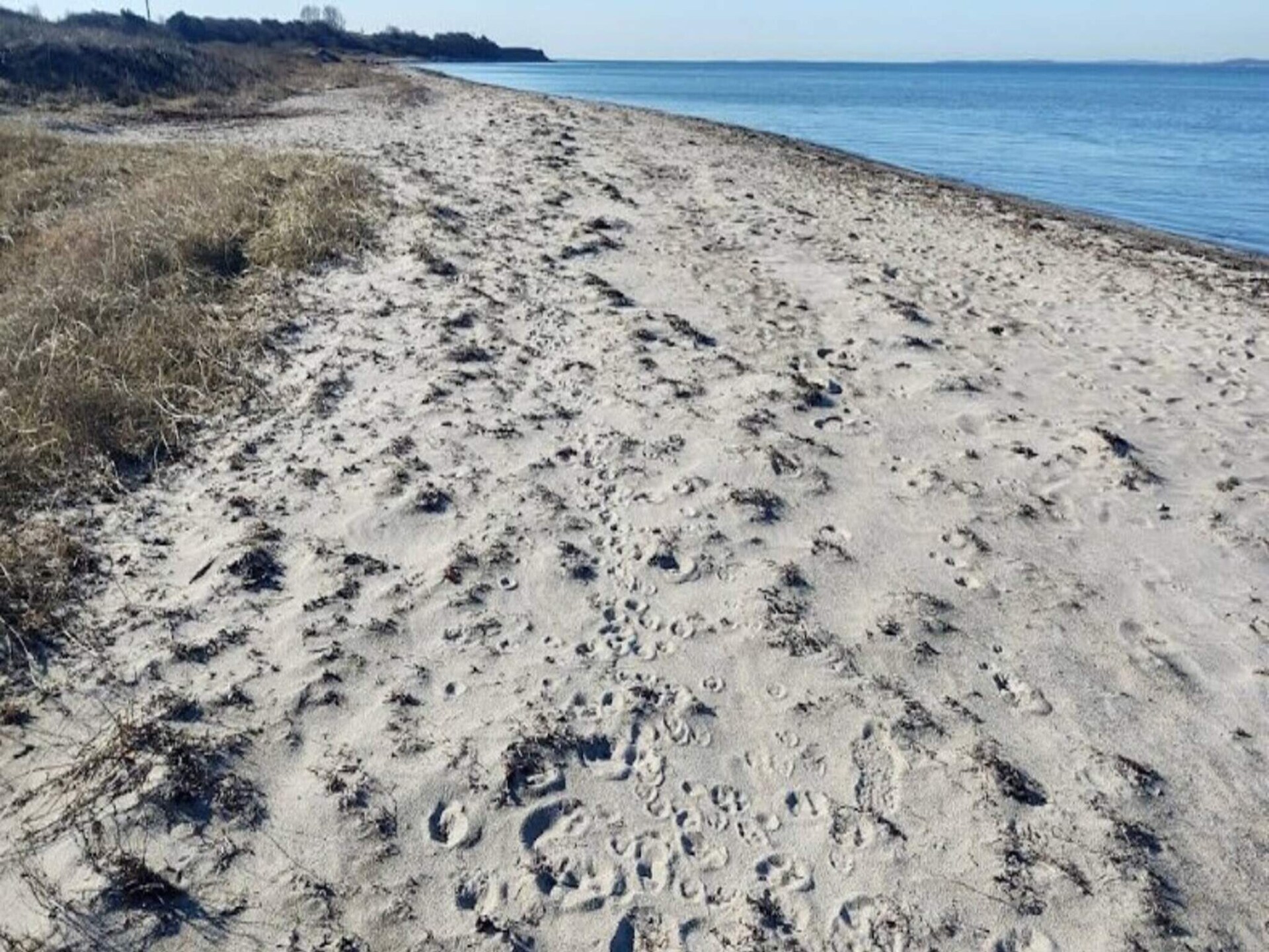 Licht vakantiehuis op Langeland, 800 meter van kindvriendelijk strand - foto 4