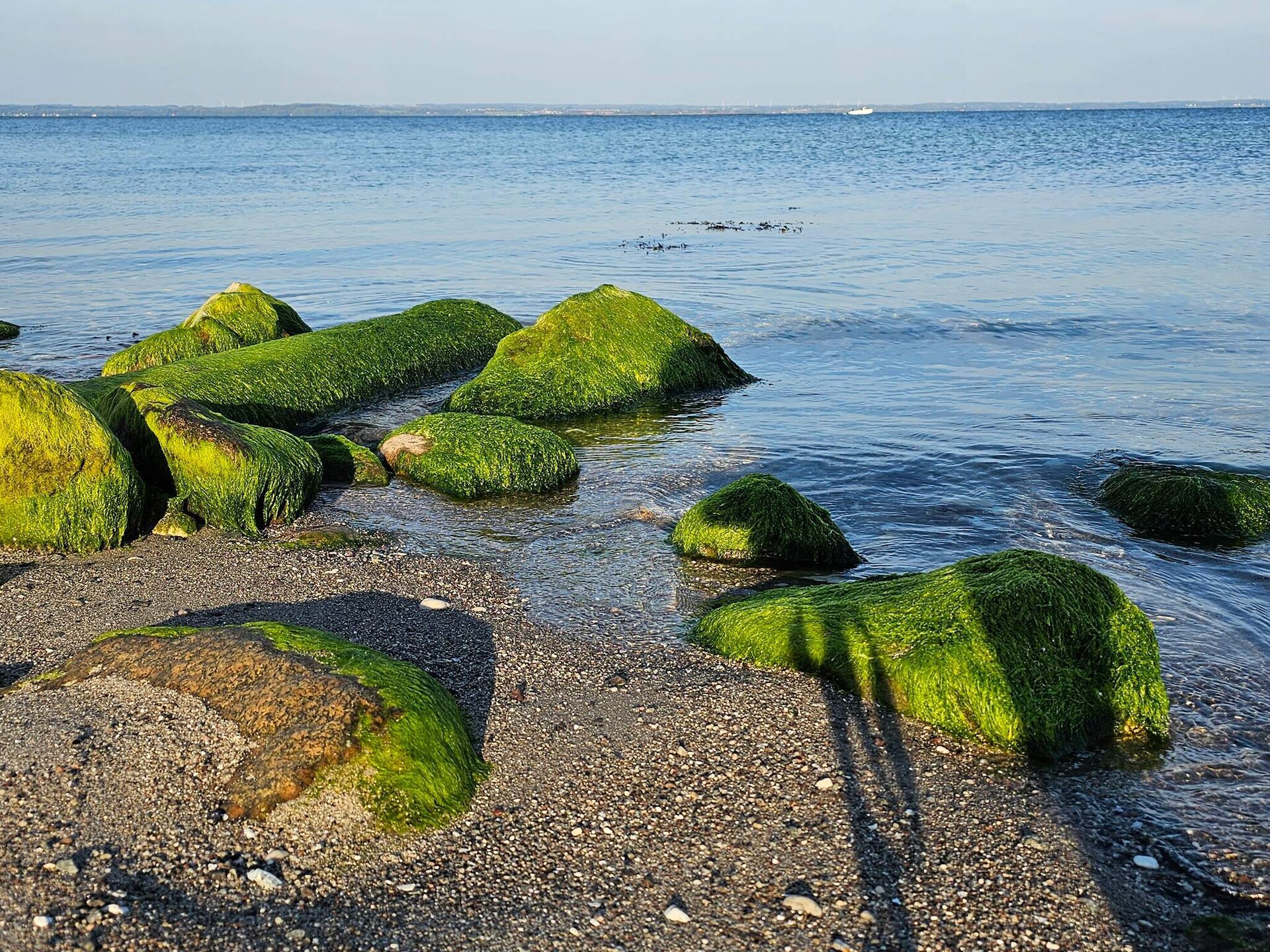 Licht vakantiehuis op Langeland, 800 meter van kindvriendelijk strand - foto 21