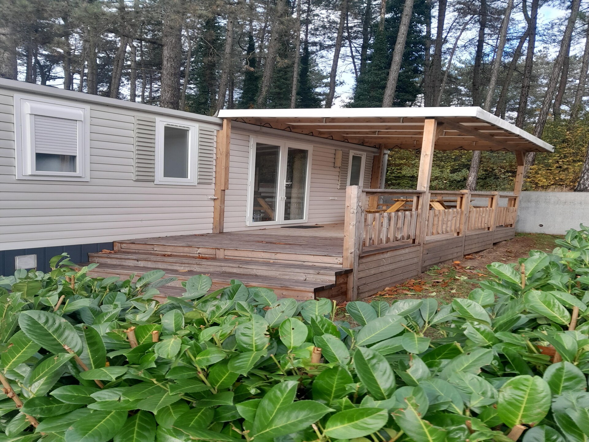 Knusse chalet voor 6 aan het meer in Rijkevorsel, hond welkom - foto 1