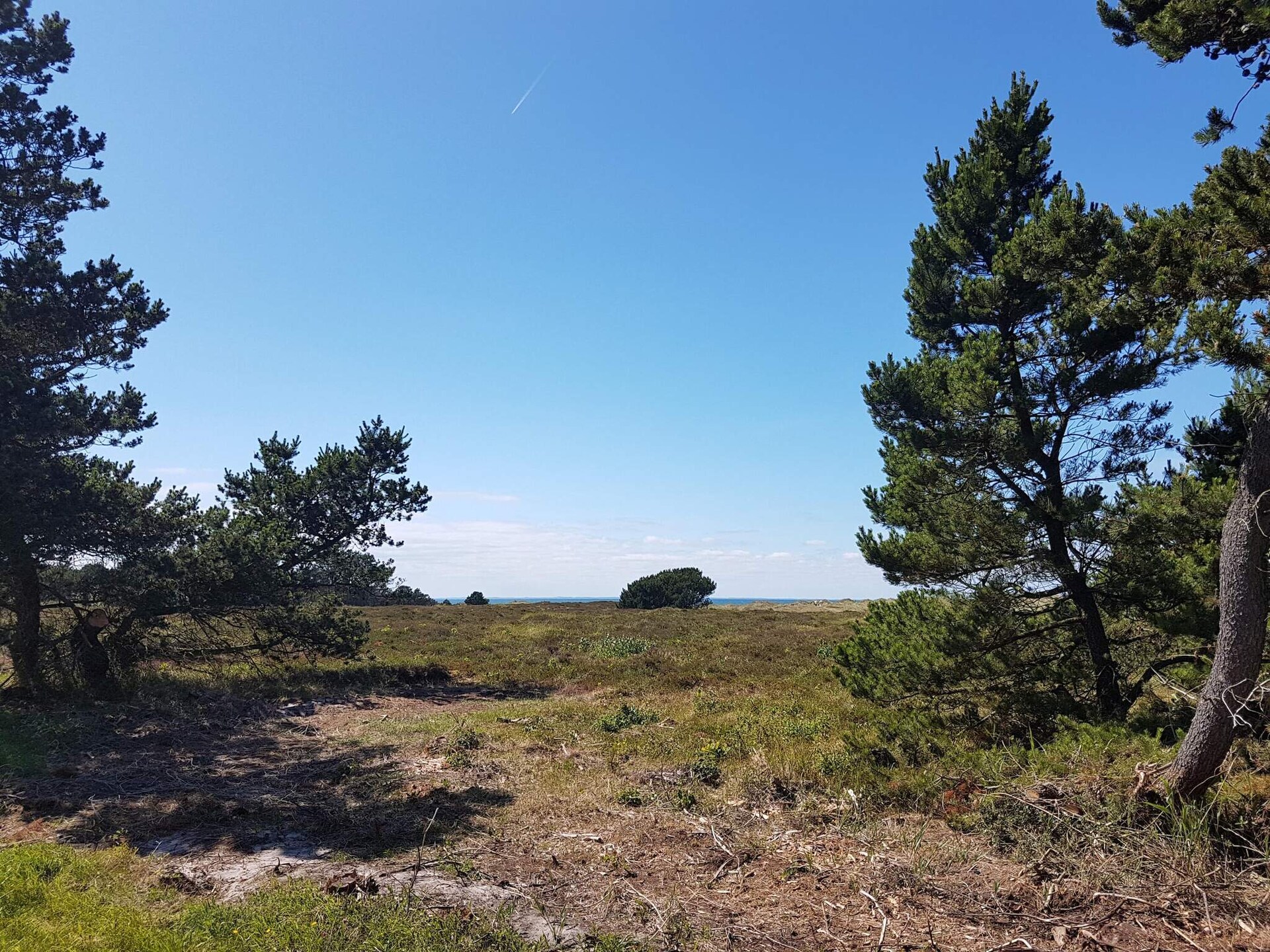 Sfeervol gerenoveerd vakantiehuis op 600 m van de zee op Læsø - foto 10