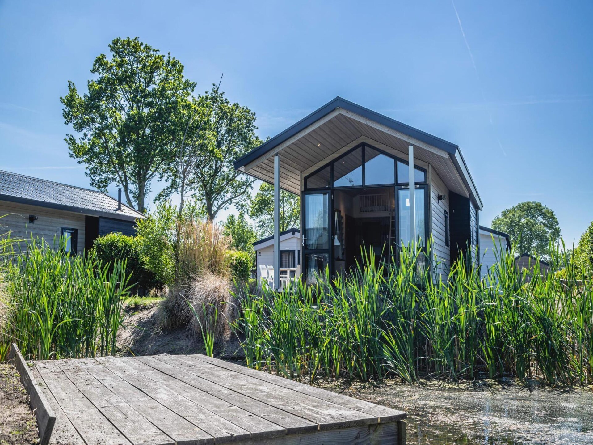 Tiny Lodge op Resort De Rijp: knus vakantiehuis voor 4 personen - foto 6