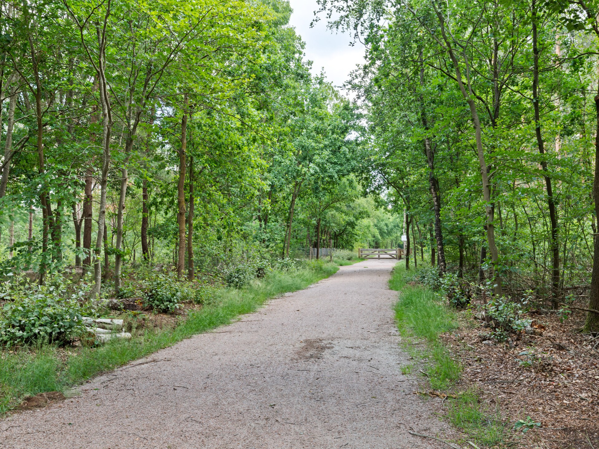 Vrijstaand vakantiehuis op de Veluwe met ruime tuin, 5 pers. - foto 36
