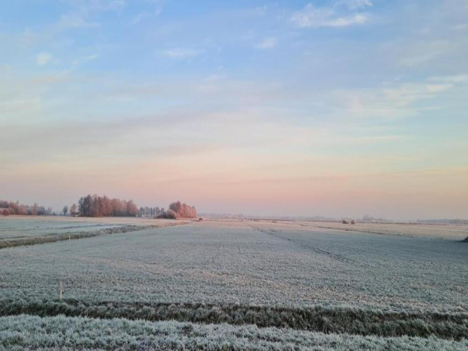 Knus chalet in bosrijk Friesland, ideaal voor rustzoekers - foto 34