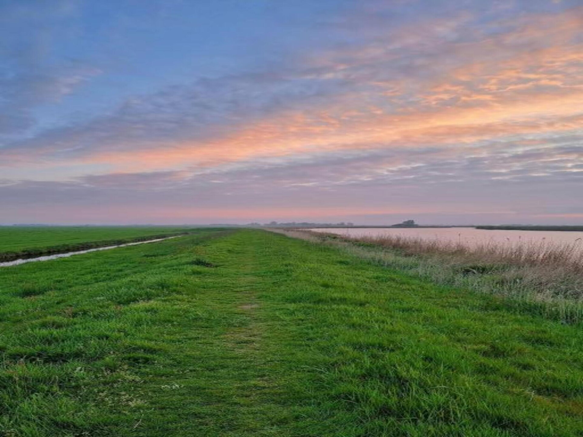 Knus chalet in bosrijk Friesland, ideaal voor rustzoekers - foto 28