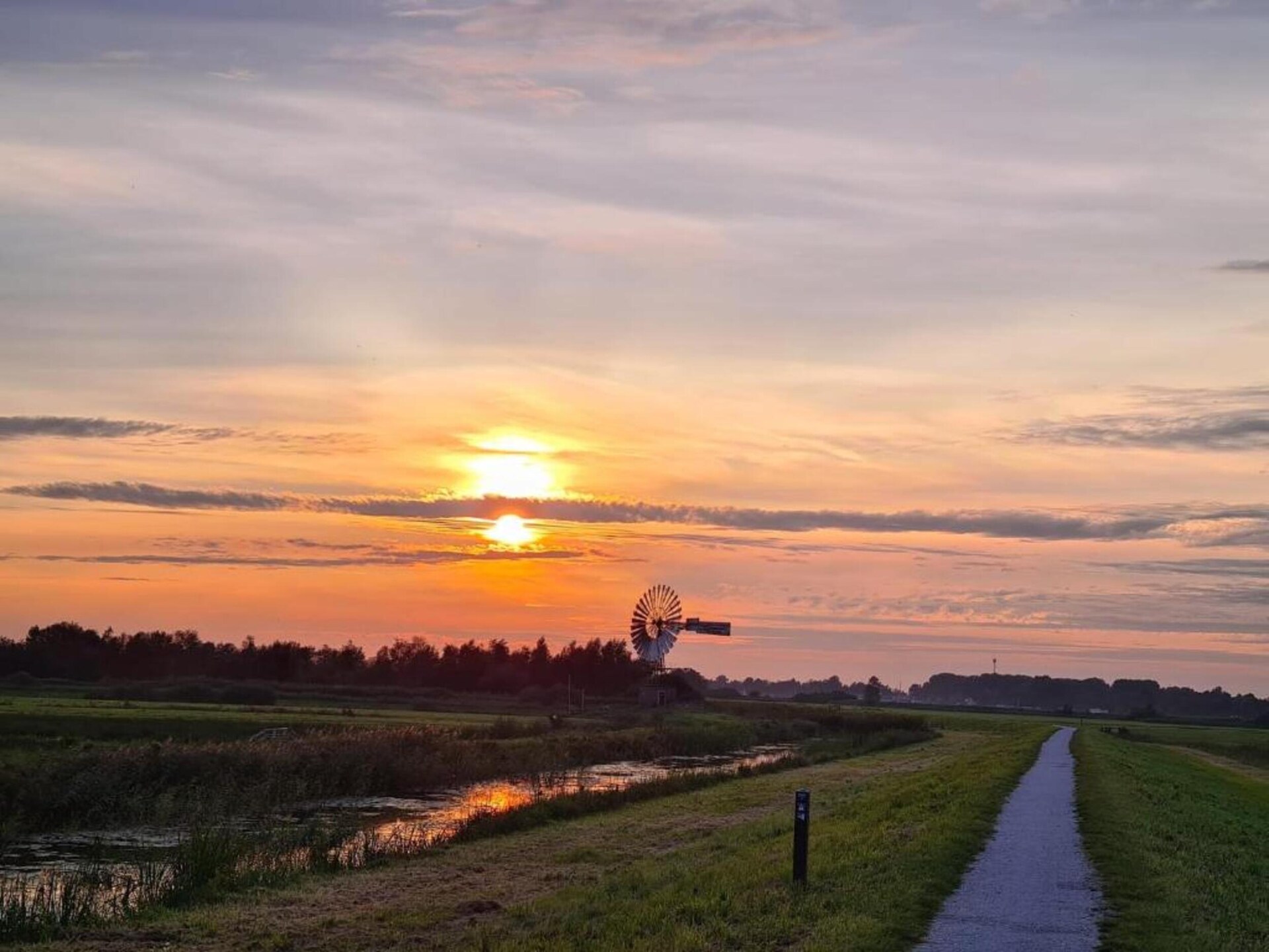 Knus chalet in bosrijk Friesland, ideaal voor rustzoekers - foto 29