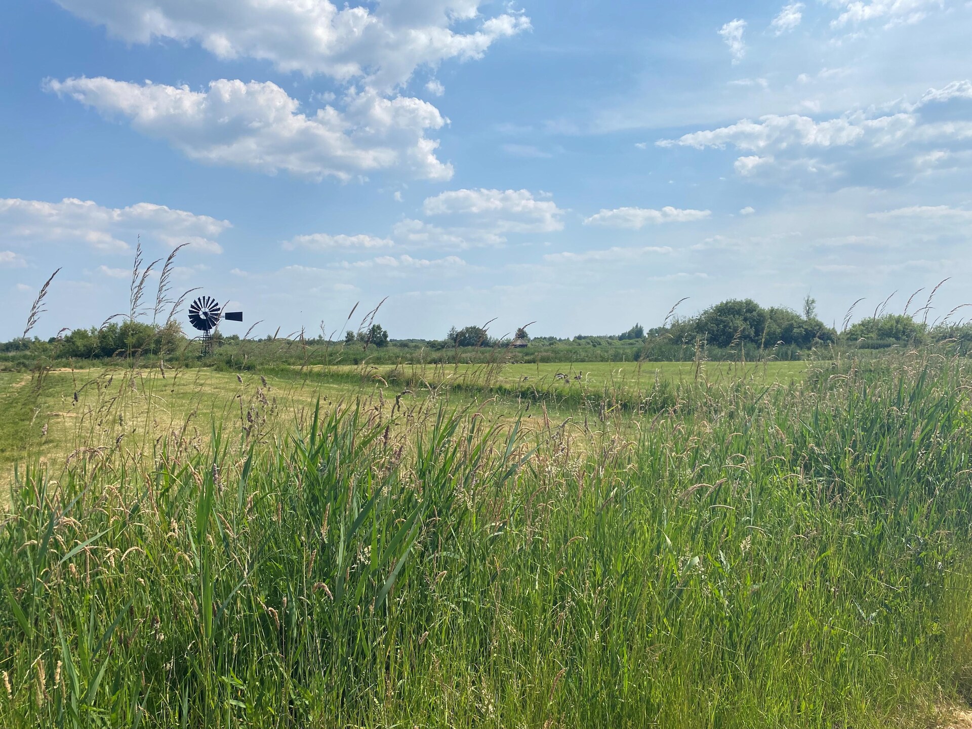 Chalet Imke: Modern genieten in het hart van de Friese natuur - foto 27