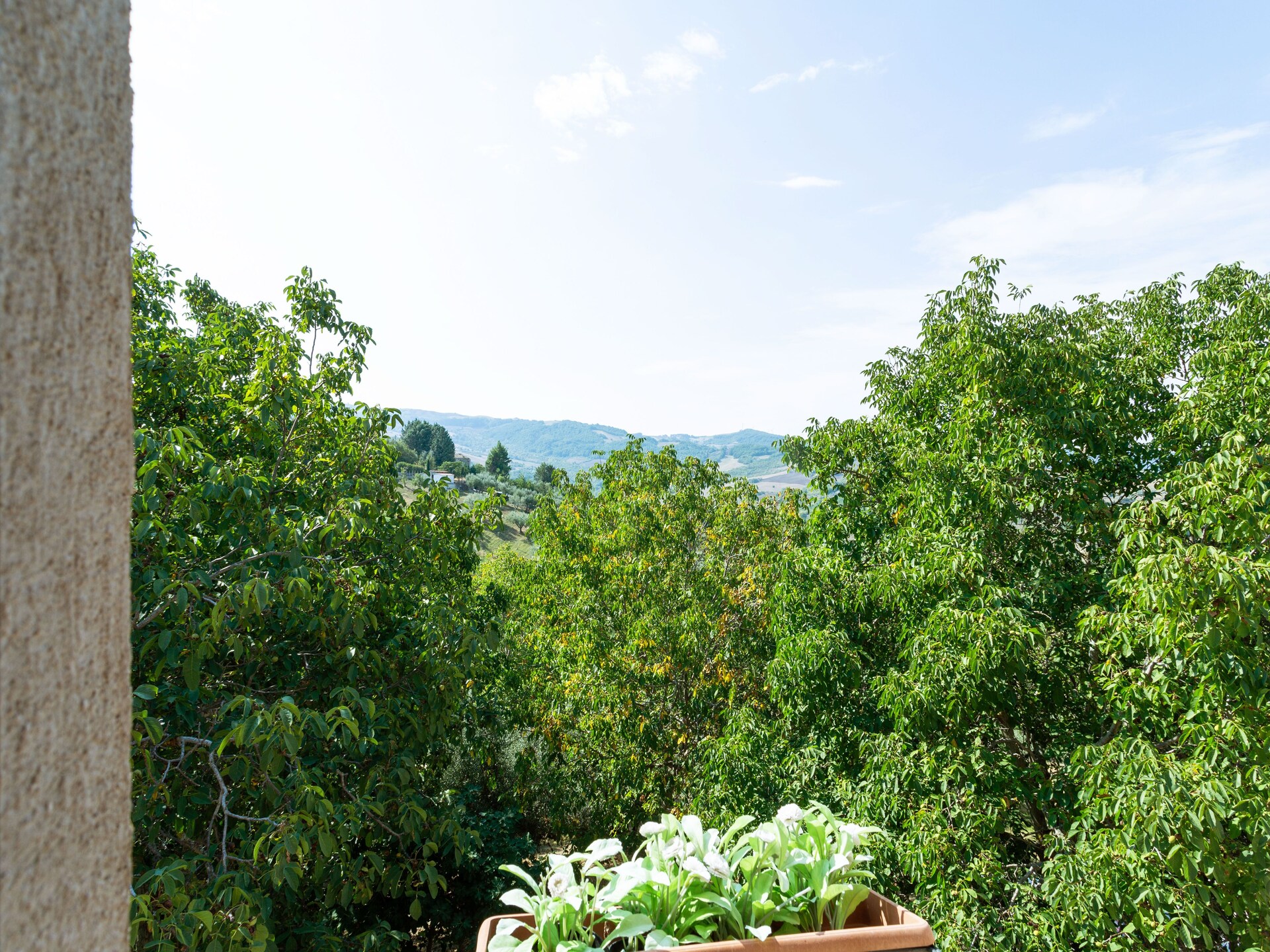 Gerenoveerd appartement in middeleeuws Ripabottoni met panoramisch terras - foto 32