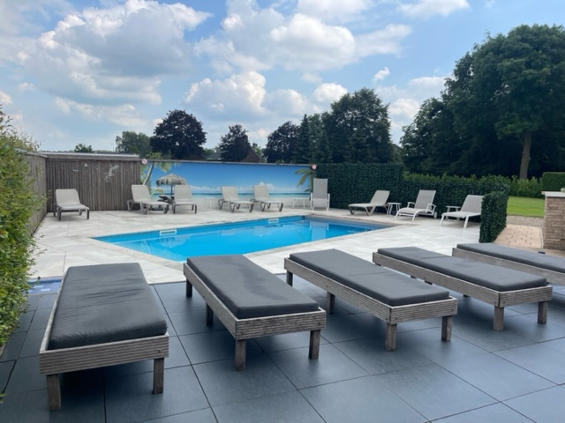 Luxe vrijstaande villa met zwembad in Montferland, 14 pers. - foto 12