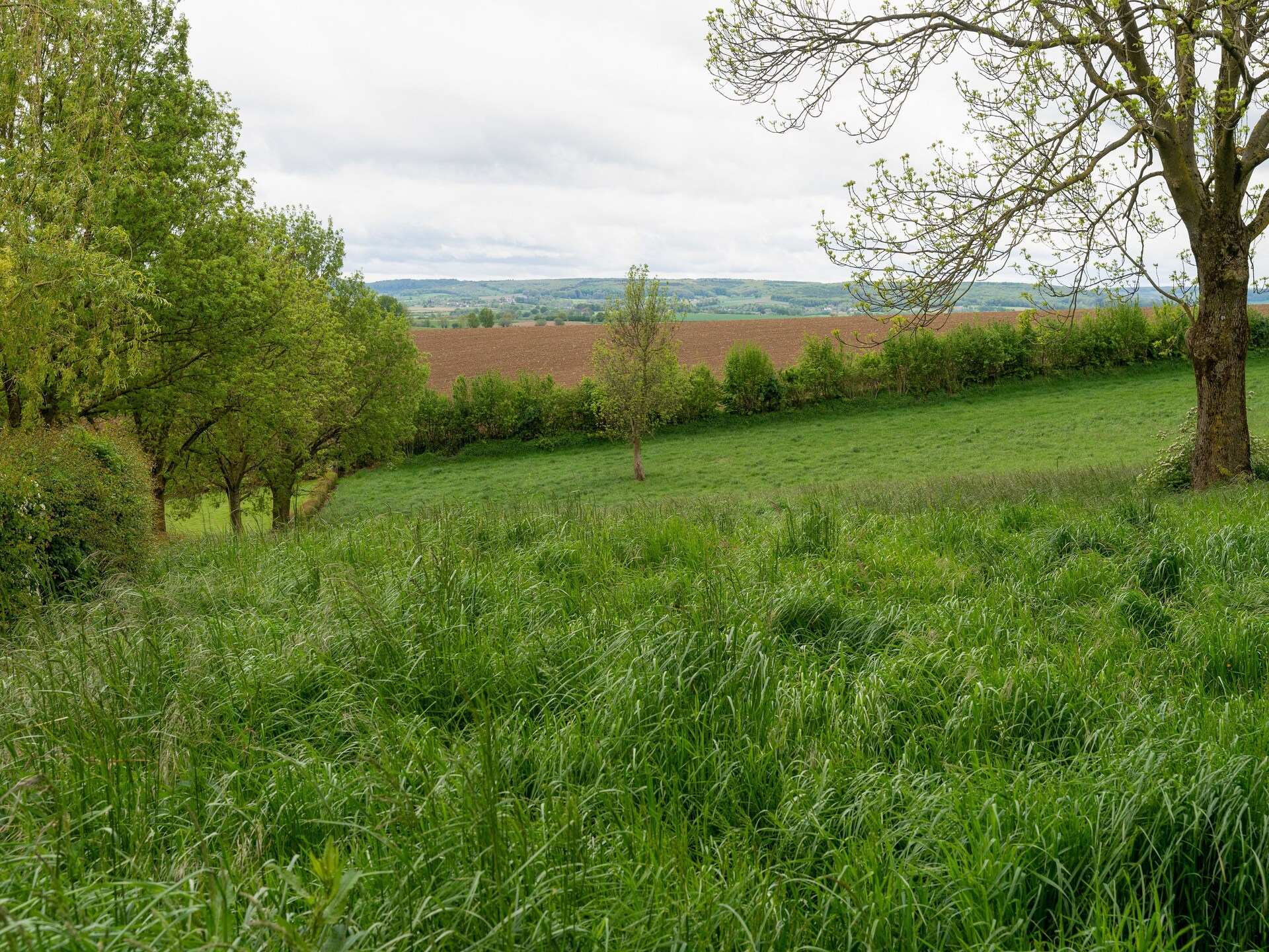 Valleyview Cottages NR14: Landelijk genieten in hartje Limburg - foto 29