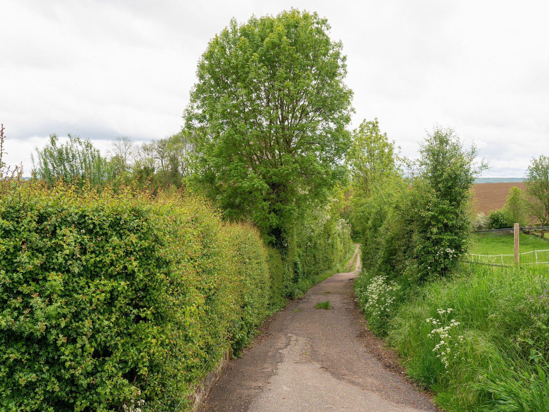 Valleyview Cottages NR14: Landelijk genieten in hartje Limburg - foto 30
