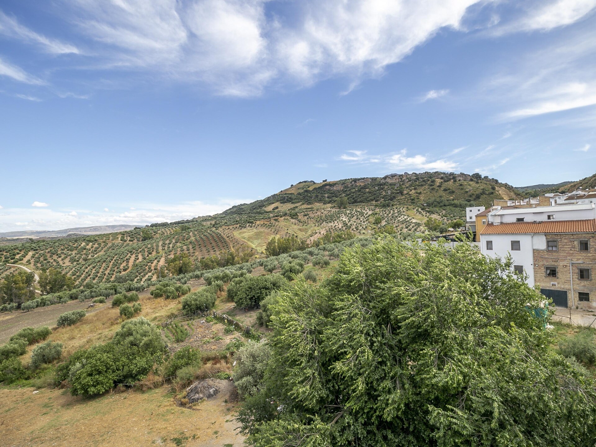 Ruim vakantiehuis voor 6 in Villanueva de San Juan met zwembadtoegang - foto 35