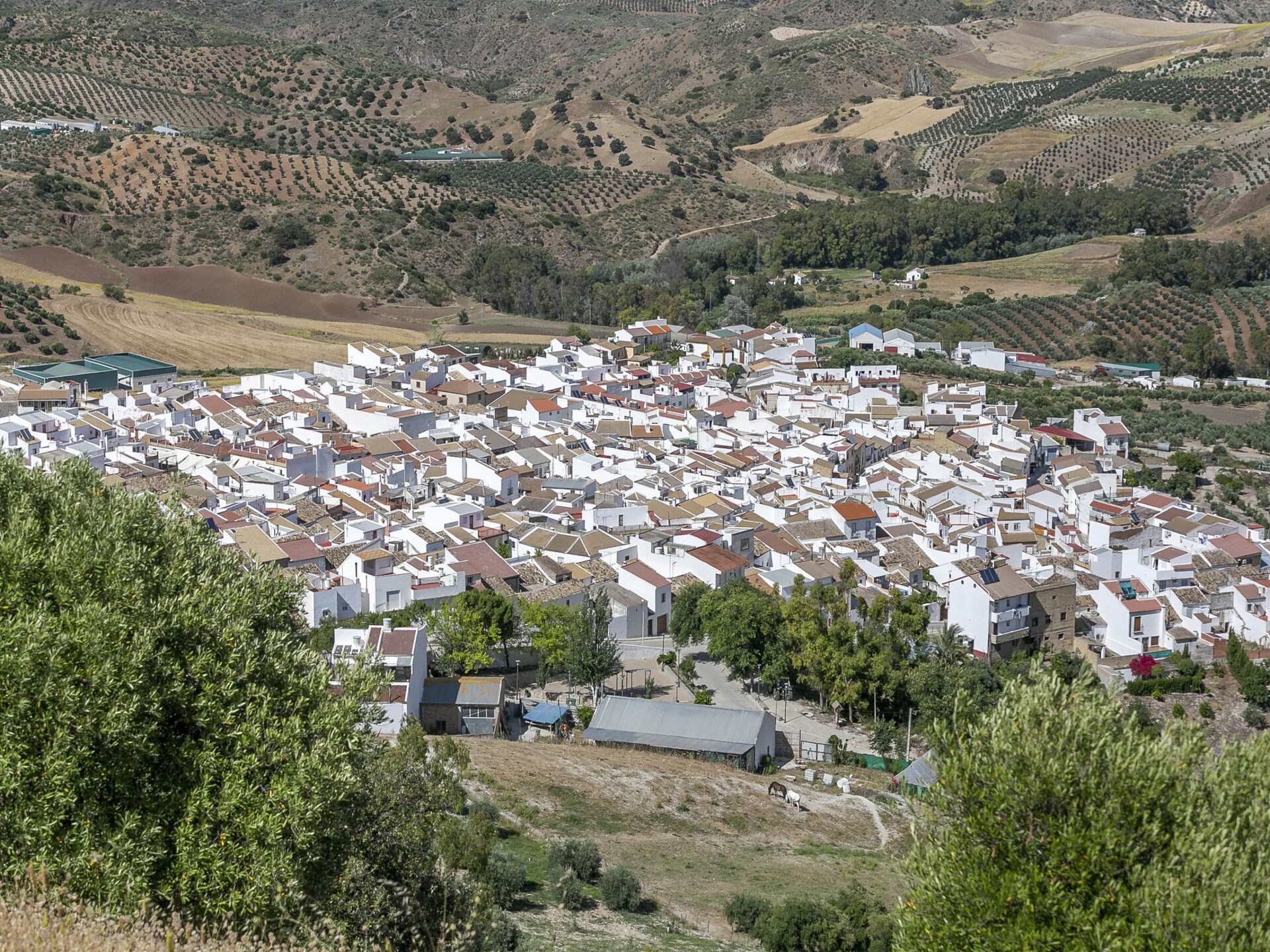 Ruim vakantiehuis voor 6 in Villanueva de San Juan met zwembadtoegang - foto 38