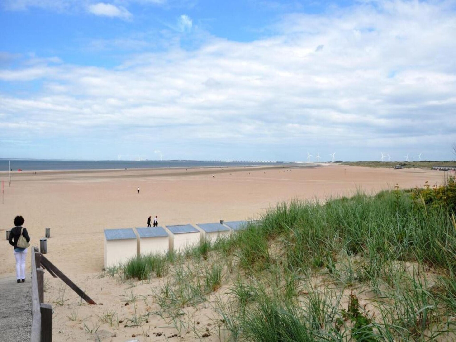 Fort den Haak – Knus chalet voor 4 personen met hond, op 300m van het strand - foto 31