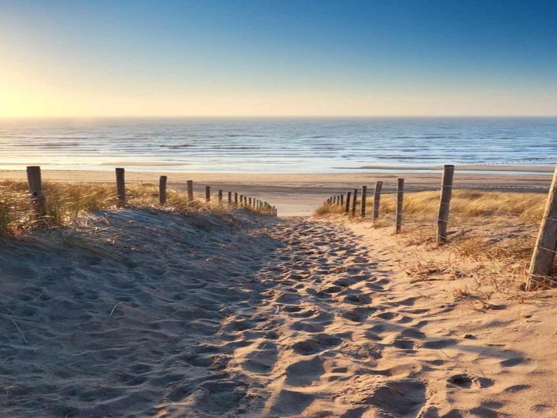 Fort den Haak – Knus chalet voor 4 personen met hond, op 300m van het strand - foto 35
