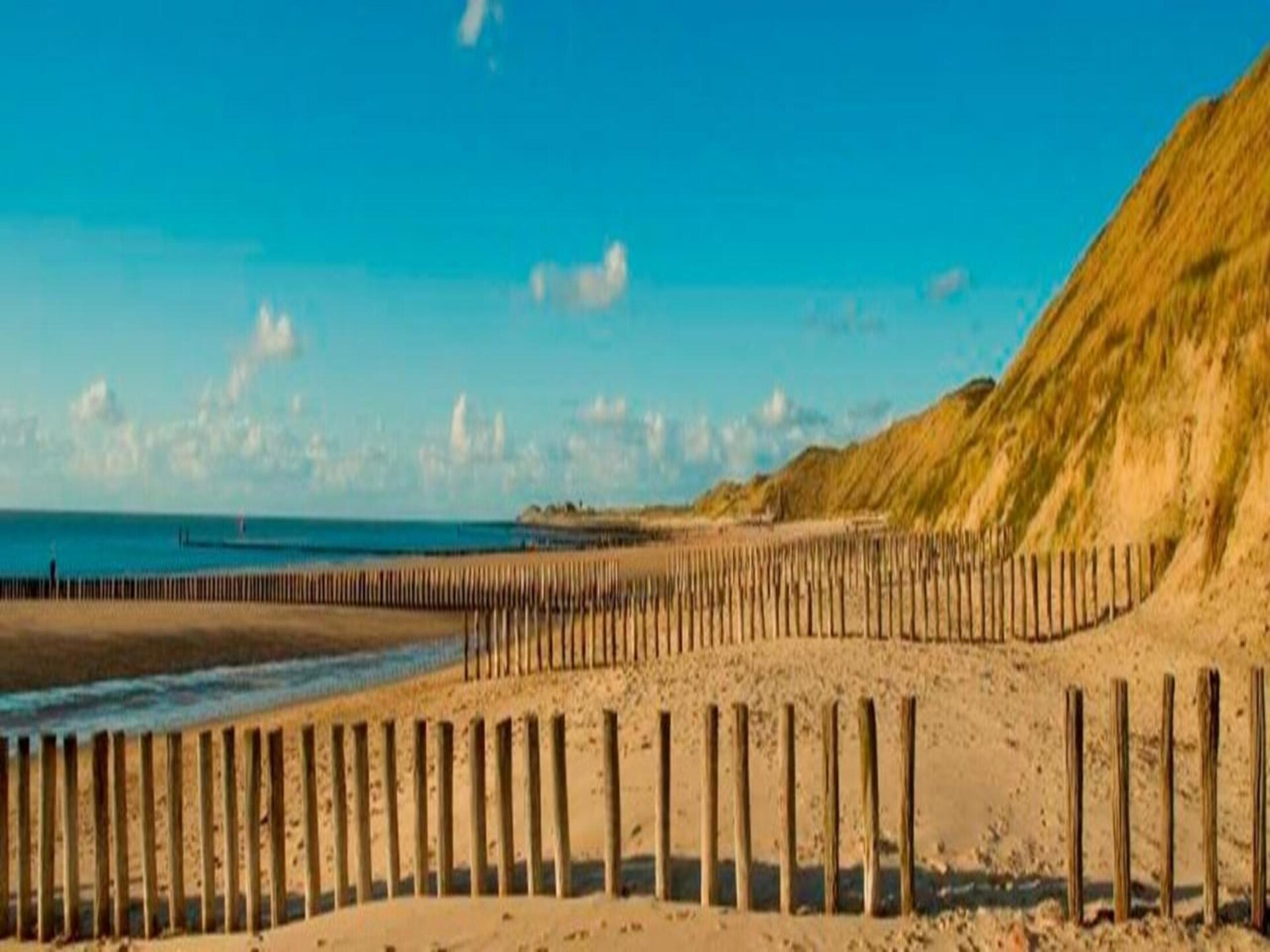 Fort den Haak – Knus chalet voor 4 personen met hond, op 300m van het strand - foto 37