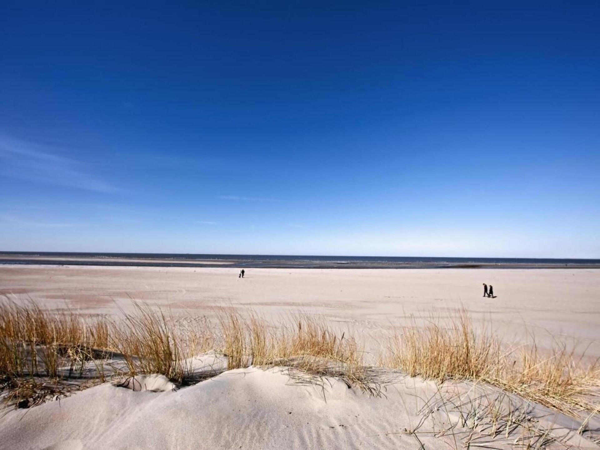 Chalet op bosrijk Fort den Haak, 300m van strand Vrouwenpolder - foto 32