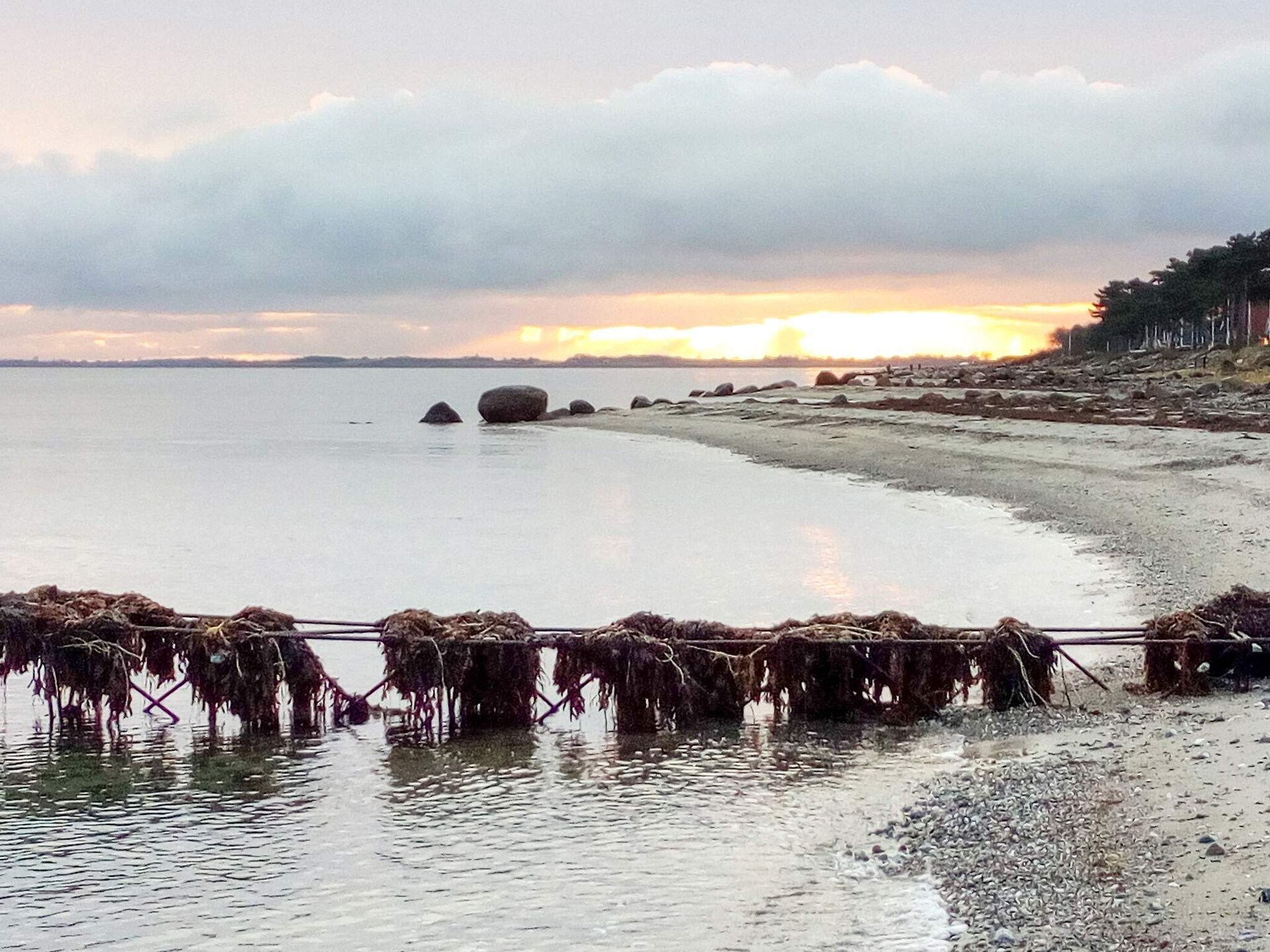 Knus vakantiehuisje op 50 meter van het strand in Enebærodde, Denemarken - foto 13