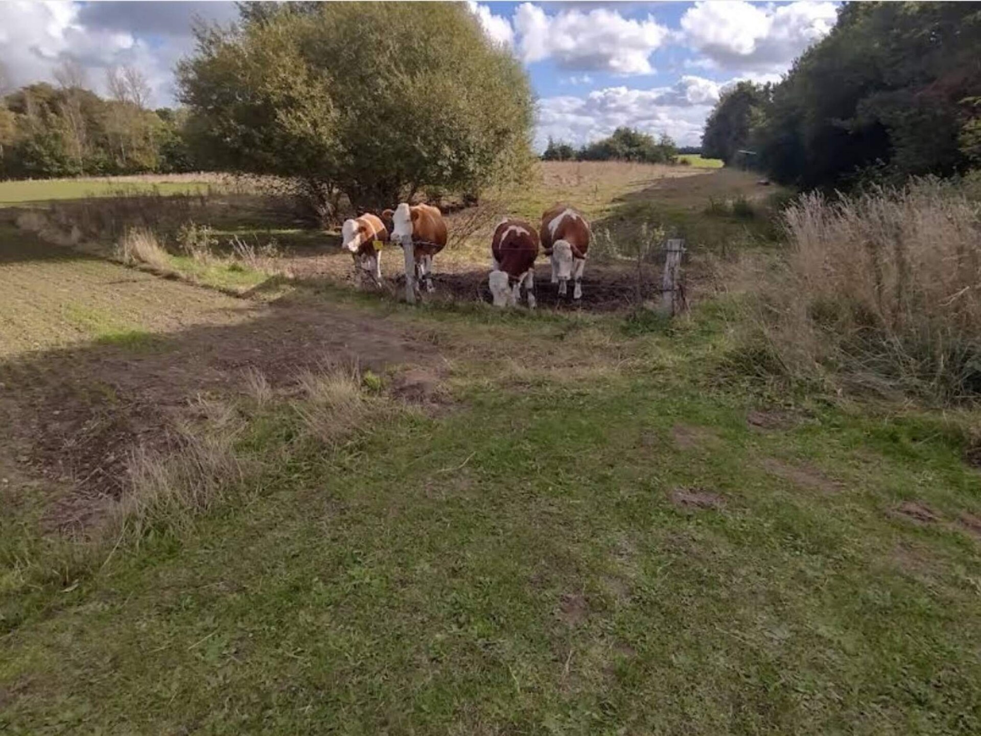 Vrijstaand kusthuis op 20 meter van zee met open haard in Jægerspris - foto 4