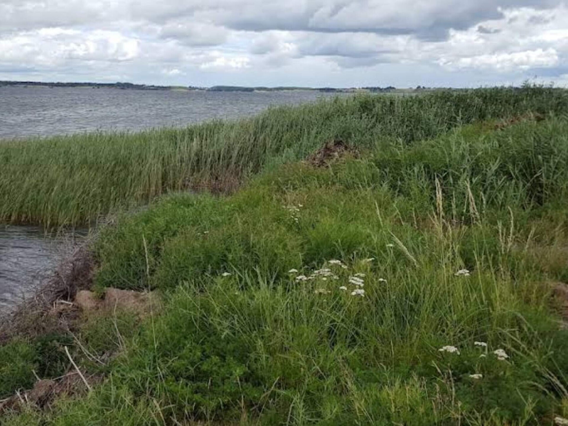 Vrijstaand kusthuis op 20 meter van zee met open haard in Jægerspris - foto 9
