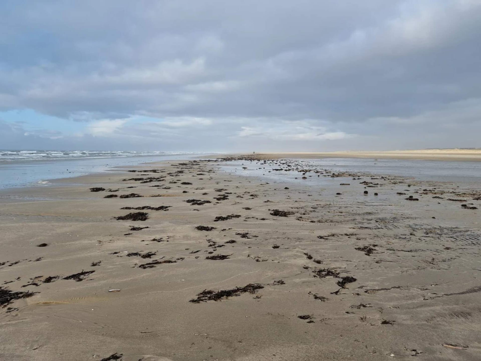 4-persoons vakantiehuis op Fanø op 800 m van het strand - foto 5