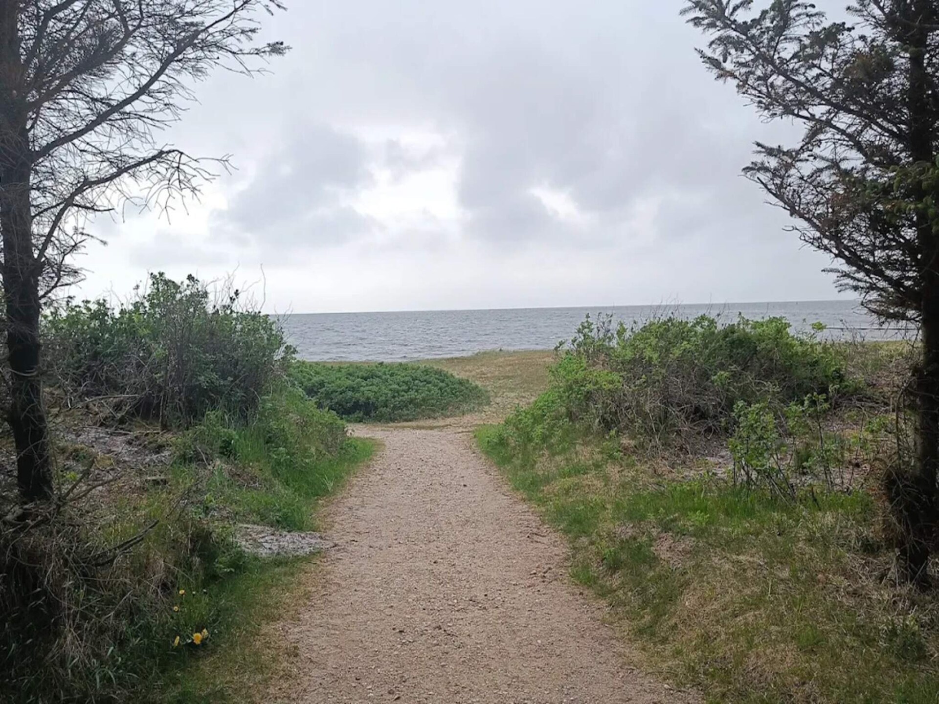 Traditioneel vakantiehuis bij Skaven Strand, 500m van de Ringkøbing Fjord - foto 3