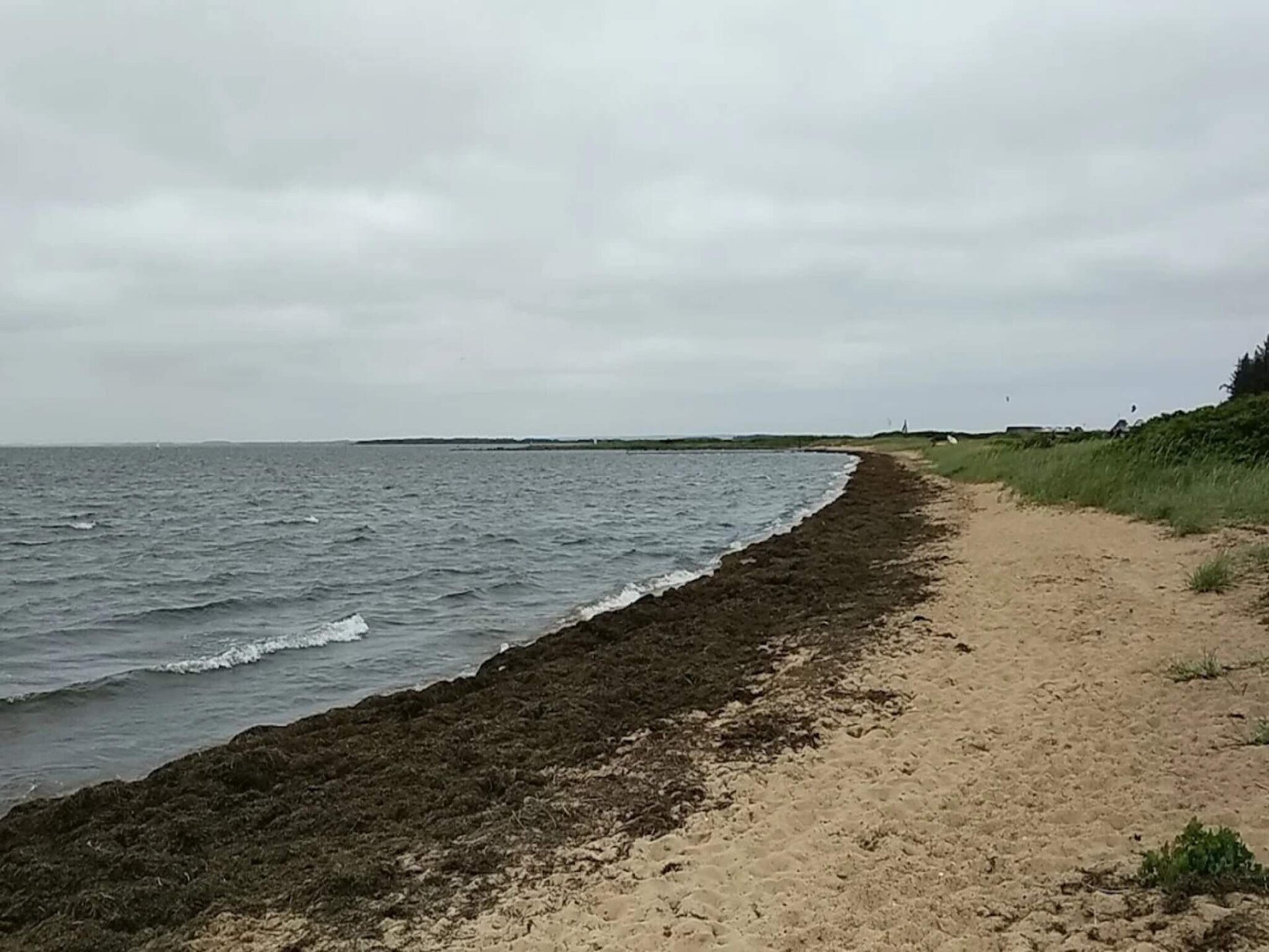 Traditioneel vakantiehuis bij Skaven Strand, 500m van de Ringkøbing Fjord - foto 10