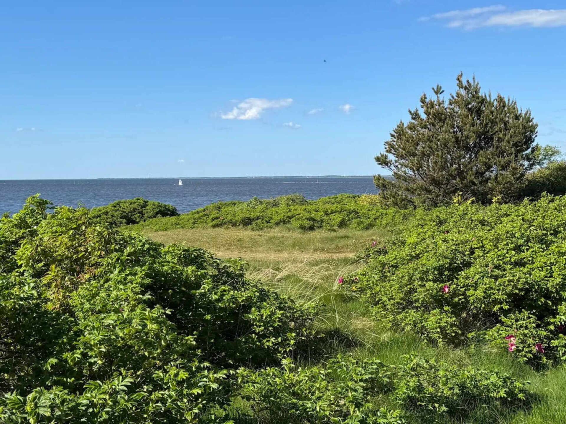 Traditioneel vakantiehuis bij Skaven Strand, 500m van de Ringkøbing Fjord - foto 27