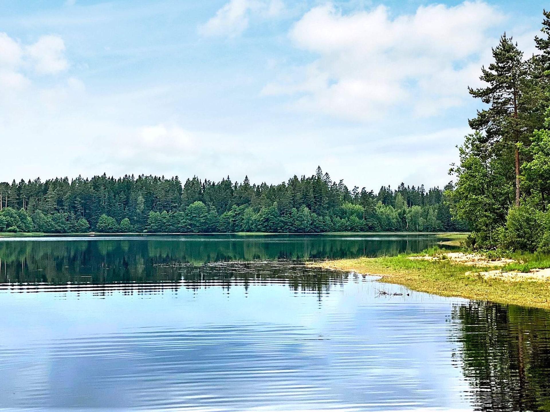 Design vakantiehuis met panoramisch uitzicht op het meer in Håcksvik - foto 43