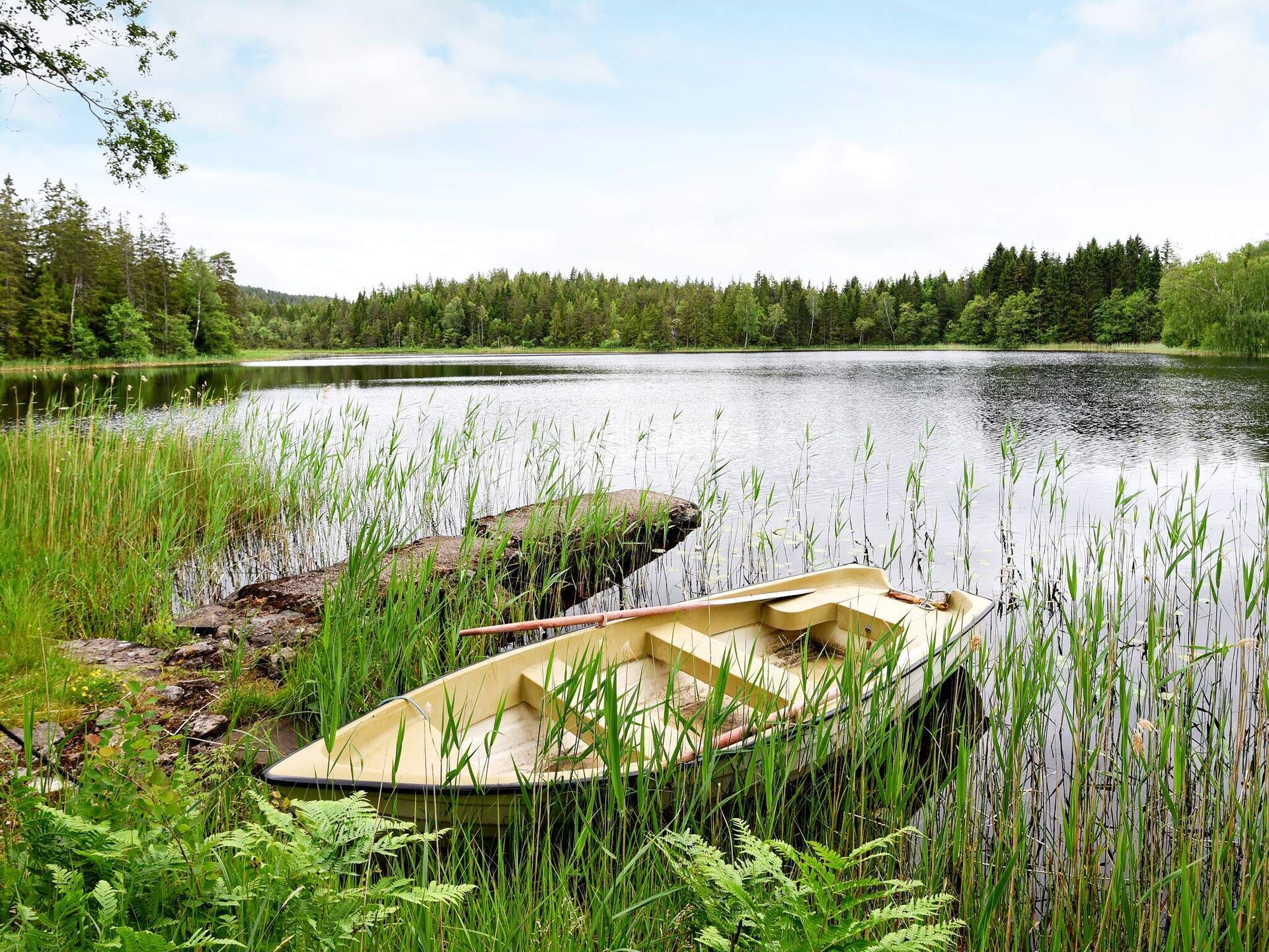 Knusse stuga aan het Lillesjö meer met eigen terras en visstek op 20 meter - foto 4