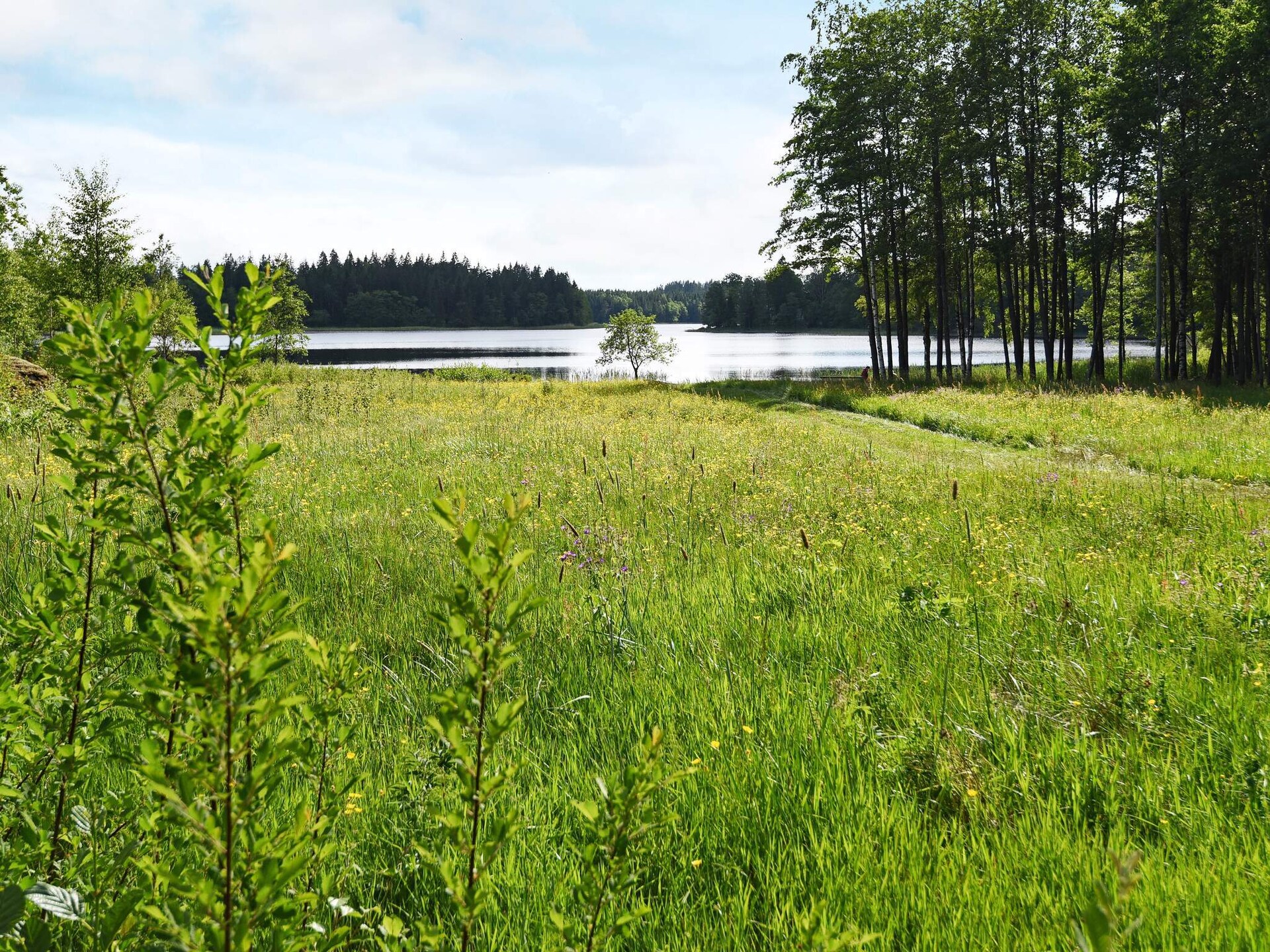Knusse stuga aan het Lillesjö meer met eigen terras en visstek op 20 meter - foto 9