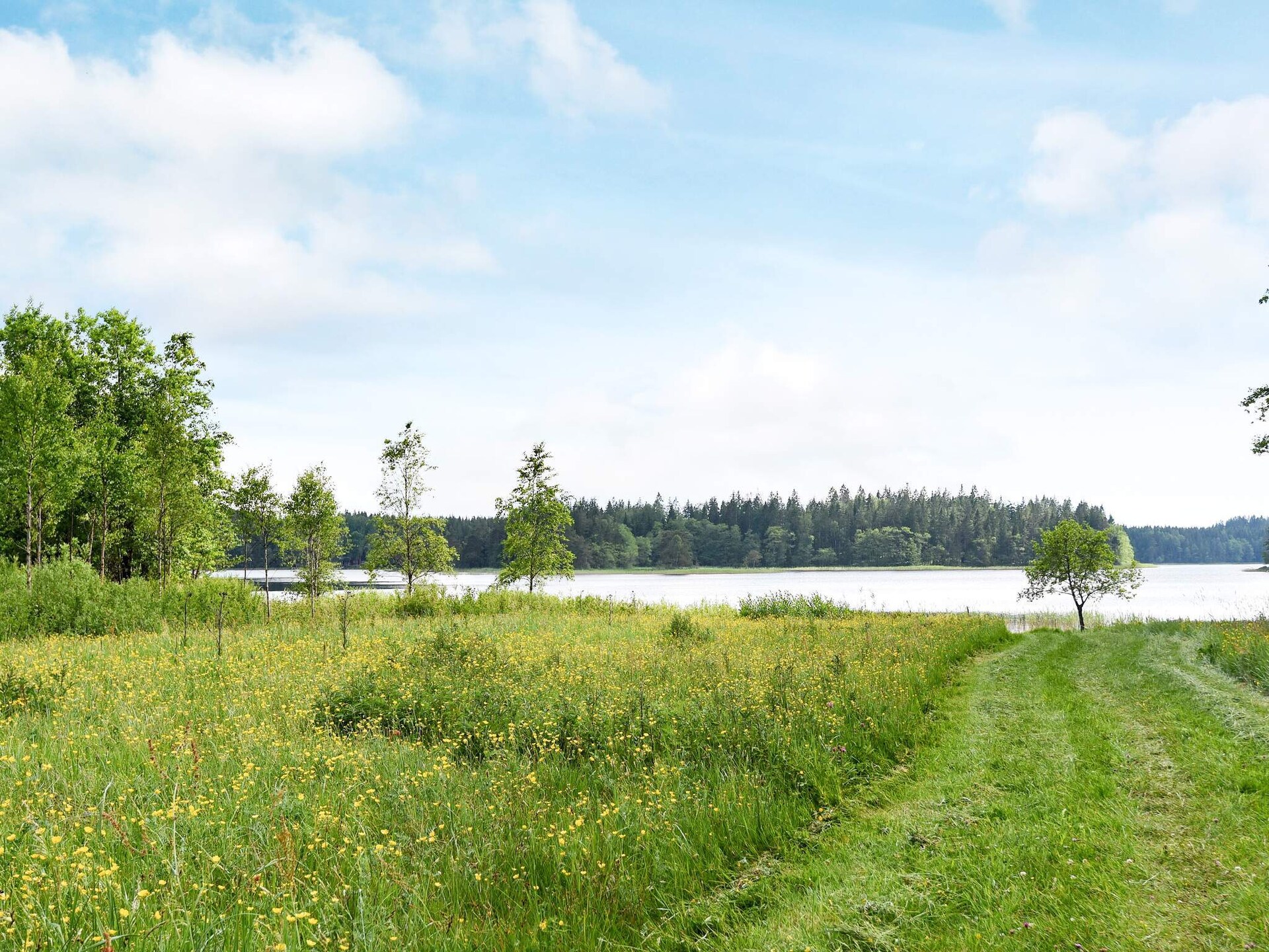Knusse stuga aan het Lillesjö meer met eigen terras en visstek op 20 meter - foto 11