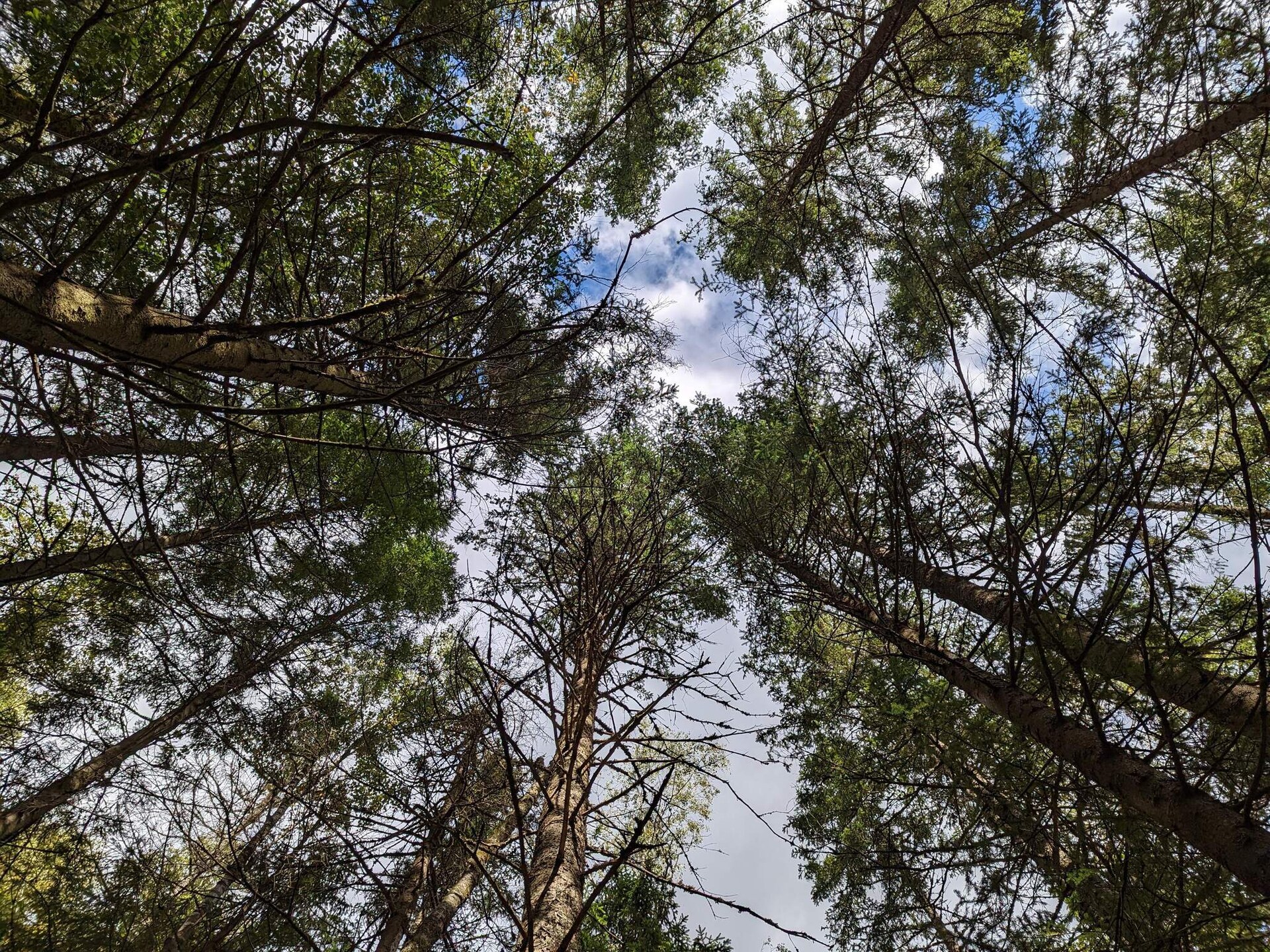 Knusse stuga aan het Lillesjö meer met eigen terras en visstek op 20 meter - foto 6