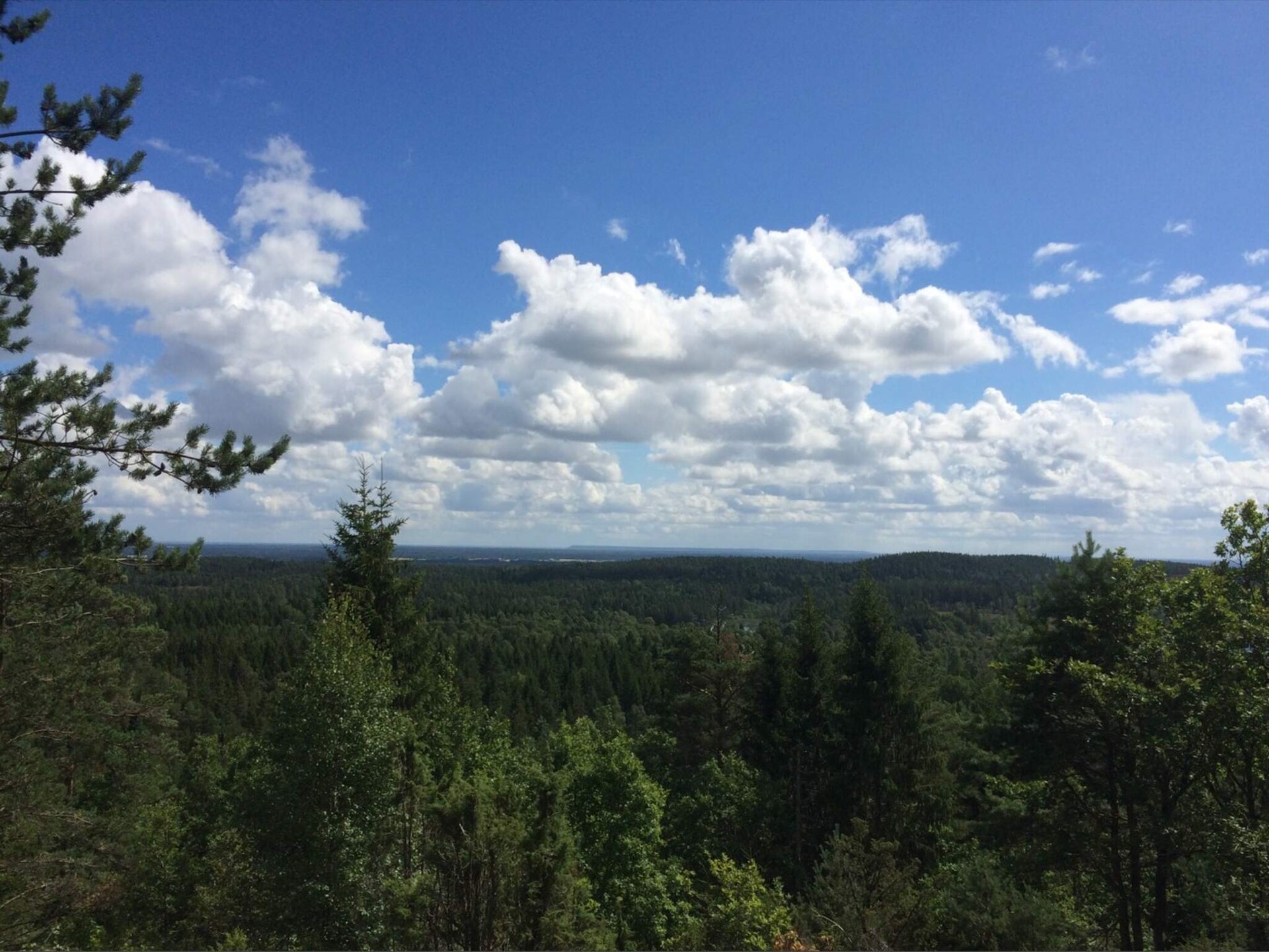 Knusse stuga aan het Lillesjö meer met eigen terras en visstek op 20 meter - foto 7
