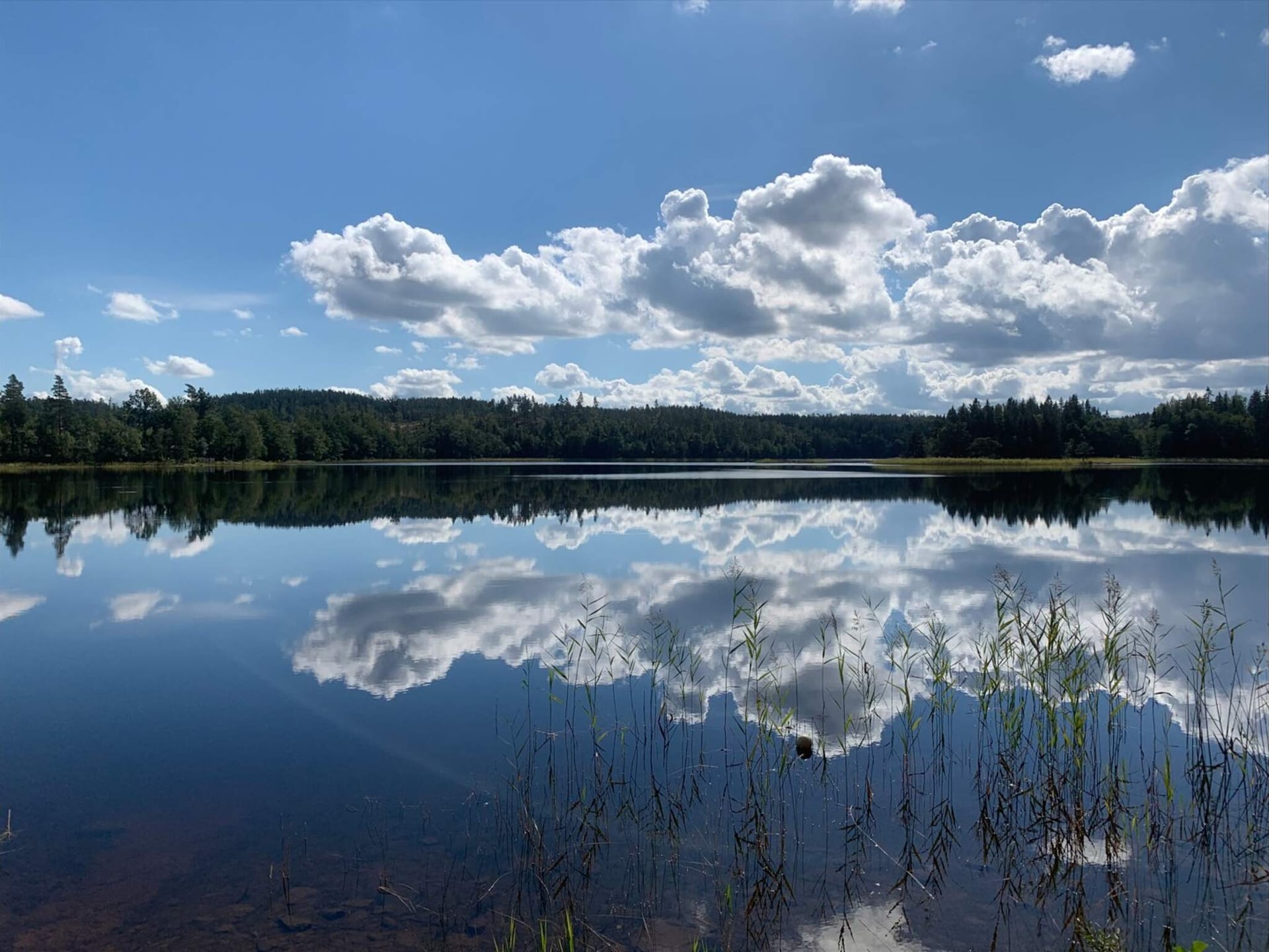 Knusse stuga aan het Lillesjö meer met eigen terras en visstek op 20 meter - foto 14