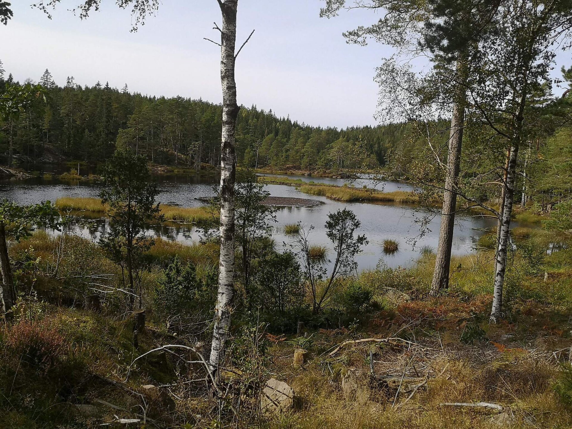 Knusse stuga aan het Lillesjö meer met eigen terras en visstek op 20 meter - foto 15