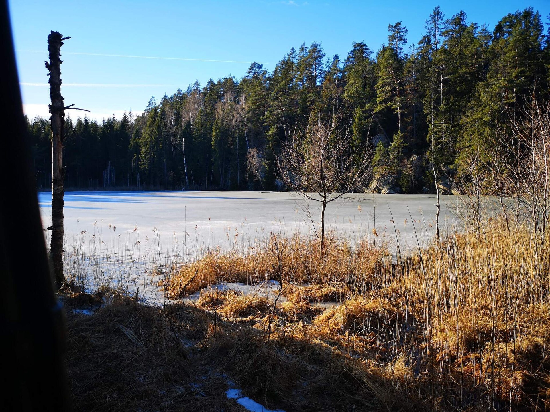 Knusse stuga aan het Lillesjö meer met eigen terras en visstek op 20 meter - foto 18
