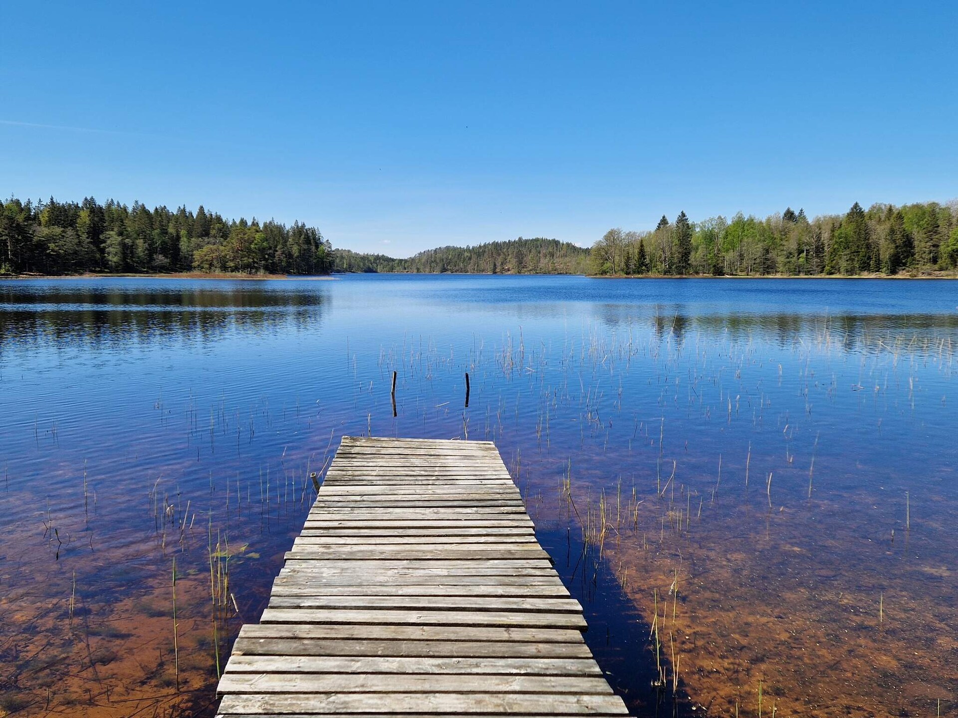Knusse stuga aan het Lillesjö meer met eigen terras en visstek op 20 meter - foto 20