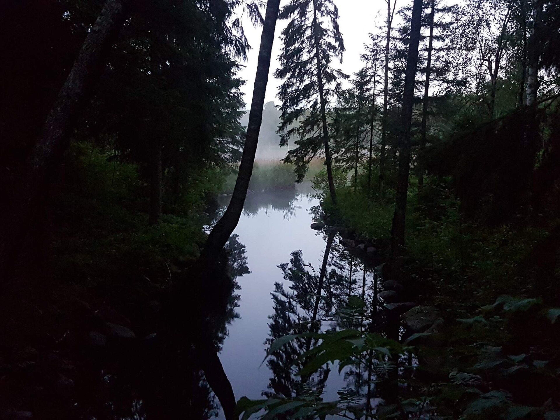 Knusse stuga aan het Lillesjö meer met eigen terras en visstek op 20 meter - foto 21