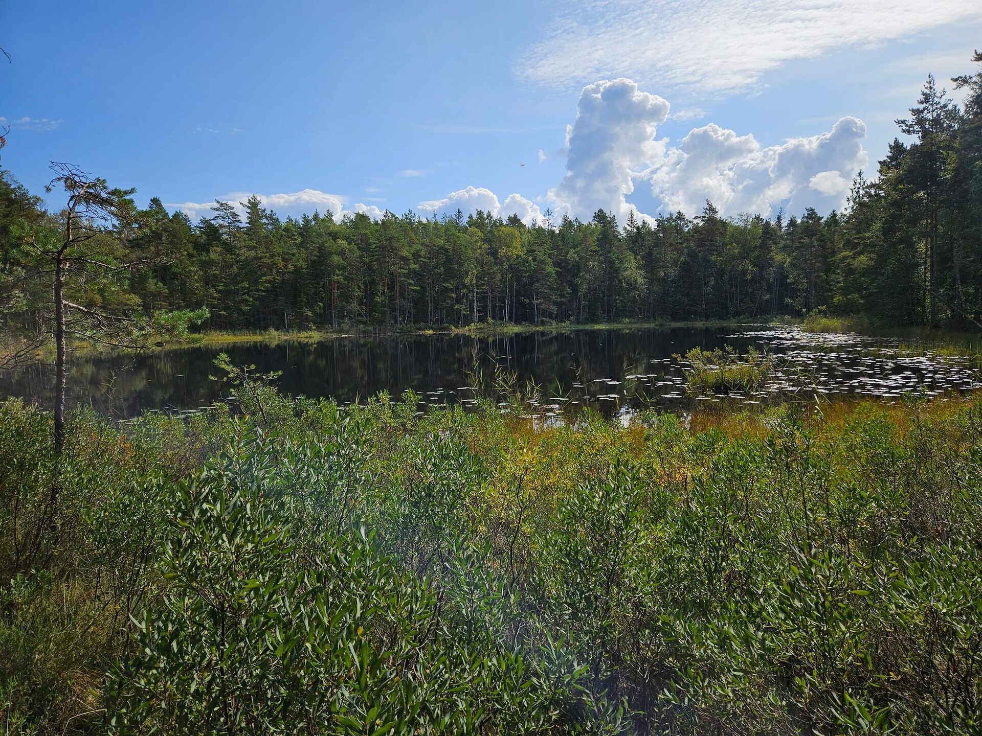 Knusse stuga aan het Lillesjö meer met eigen terras en visstek op 20 meter - foto 23