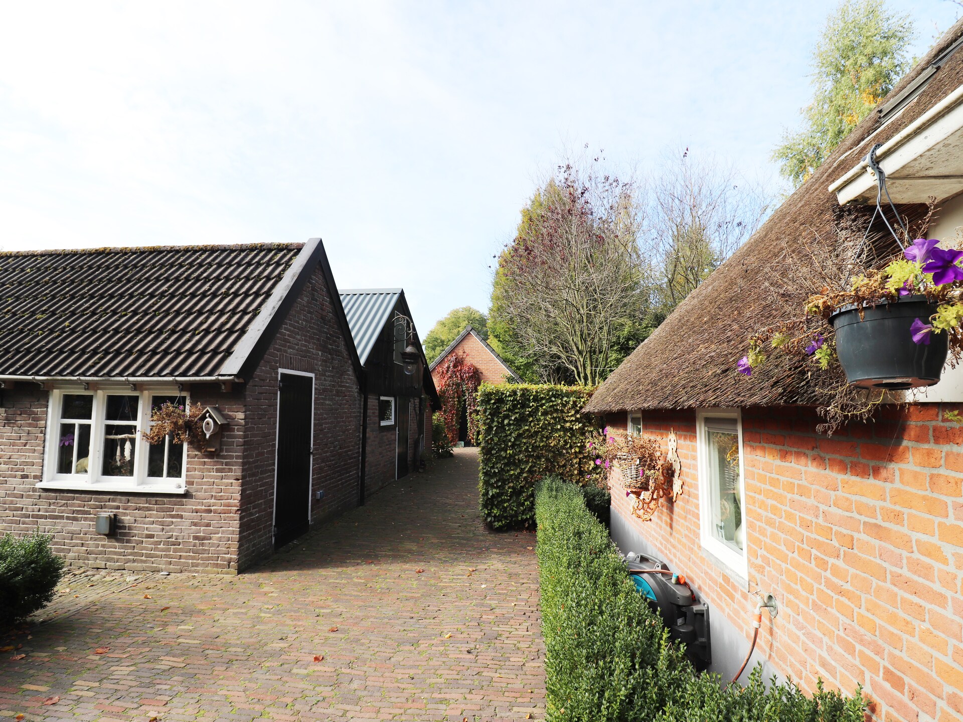 Het Atelier: creatief vakantiehuis met jacuzzi in Sleen, Drenthe - foto 33