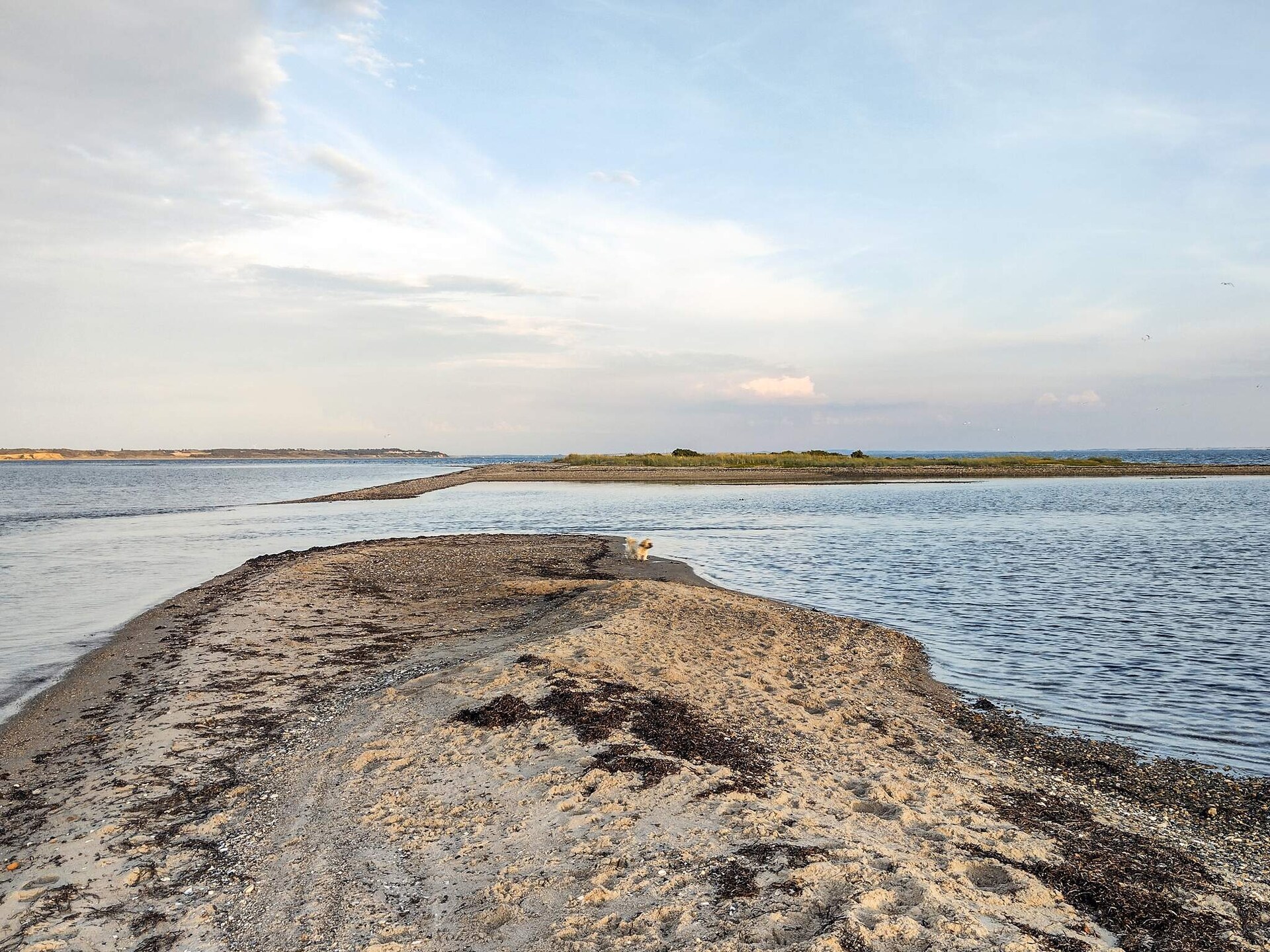 Aan zee: rietgedekt vakantiehuis in Thyholm voor 6 personen - foto 23