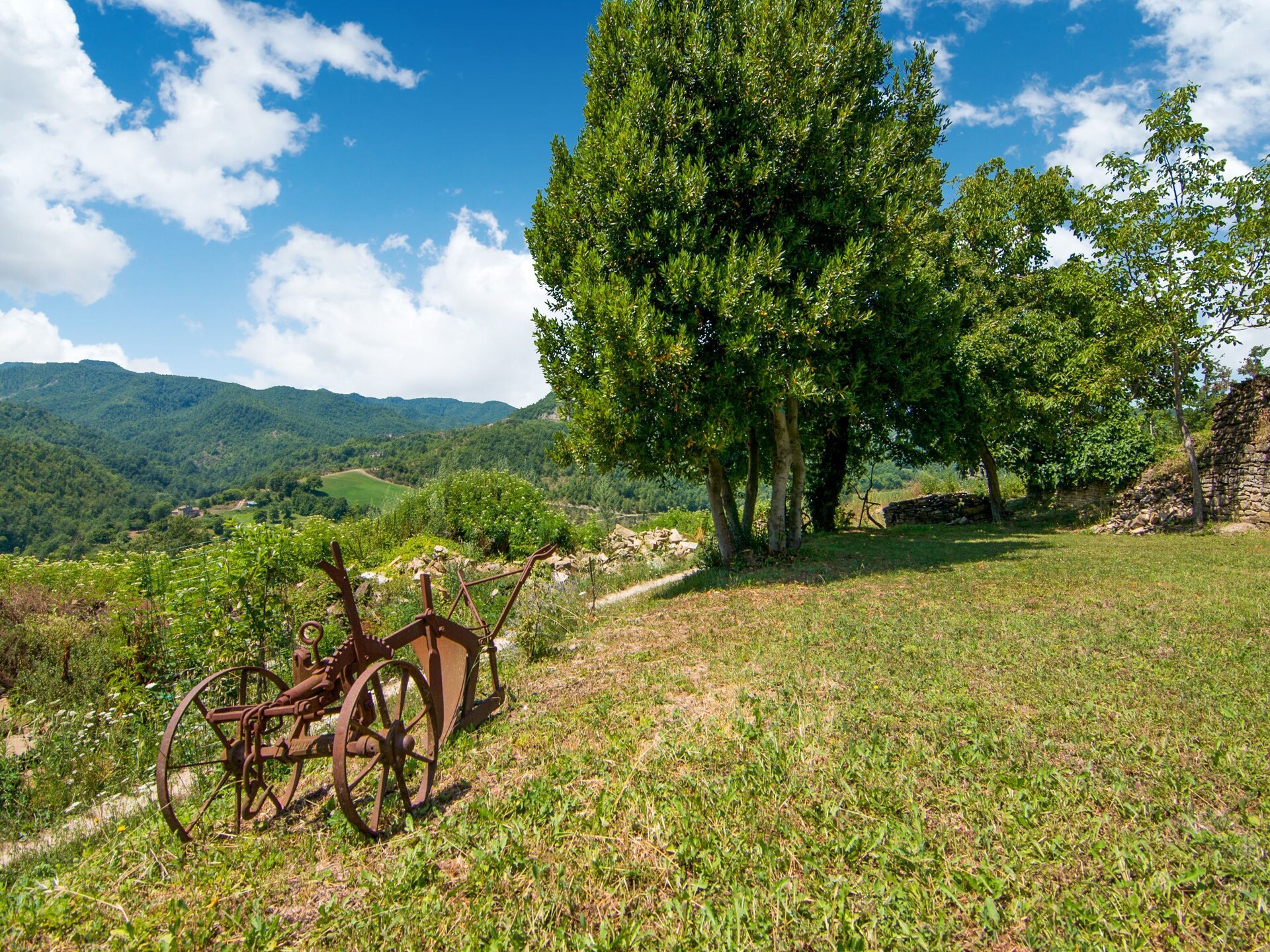 Privézwembad en rust in vakantiehuis Frigino, Città di Castello - foto 36