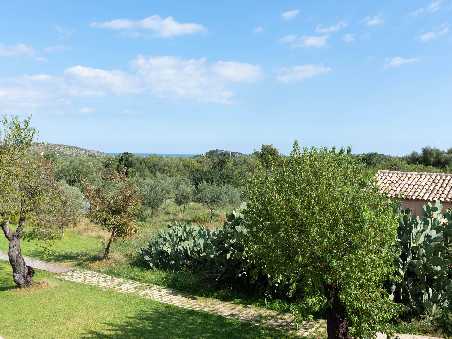 Ruime boerderij met privézwembad nabij UNESCO-stad Noto - foto 38