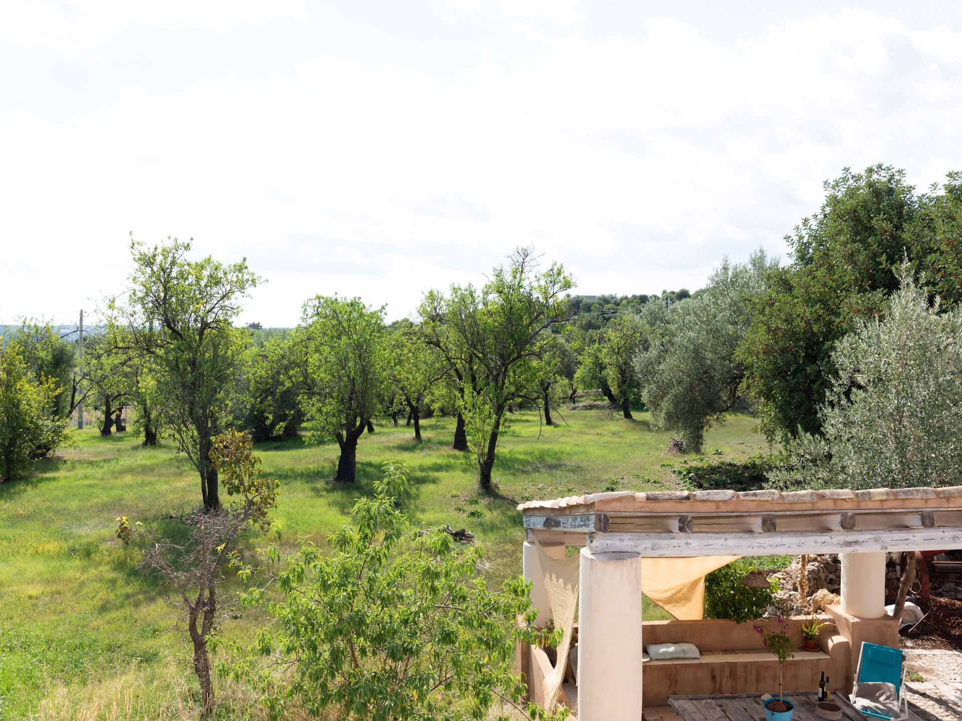 Ruime boerderij met privézwembad nabij UNESCO-stad Noto - foto 39