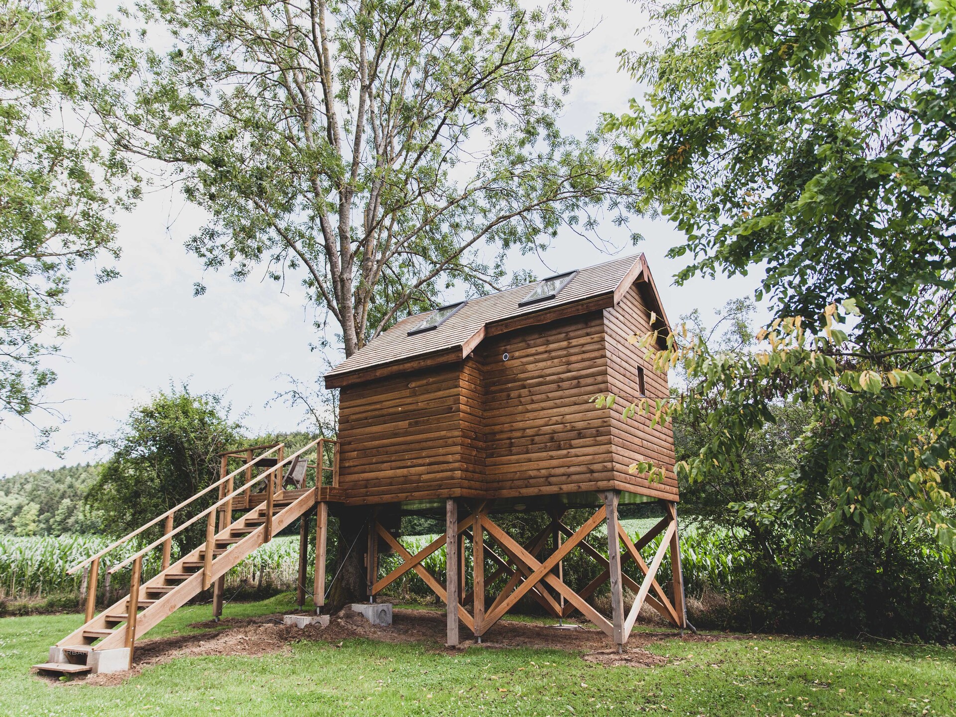 Bird Nest: Romantisch wellness chalet in het bos bij Durbuy - foto 7
