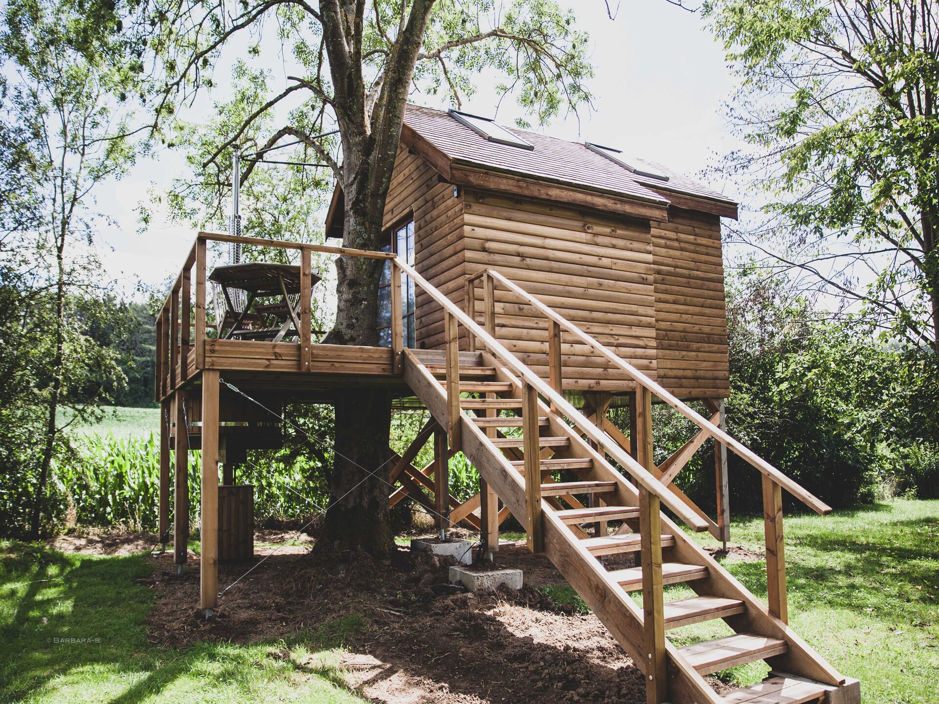 Bird Nest: Romantisch wellness chalet in het bos bij Durbuy - foto 1