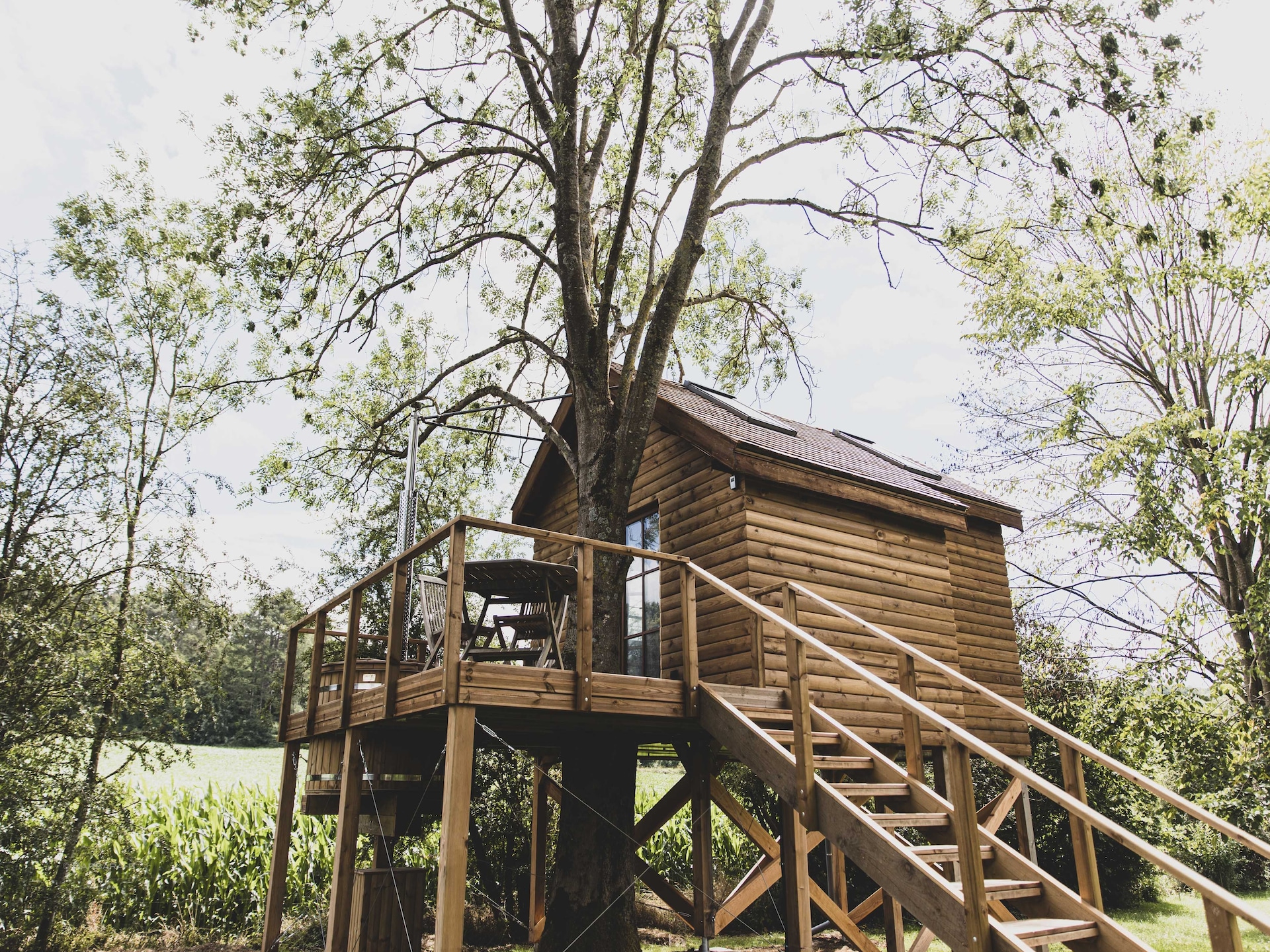 Bird Nest: Romantisch wellness chalet in het bos bij Durbuy - foto 26