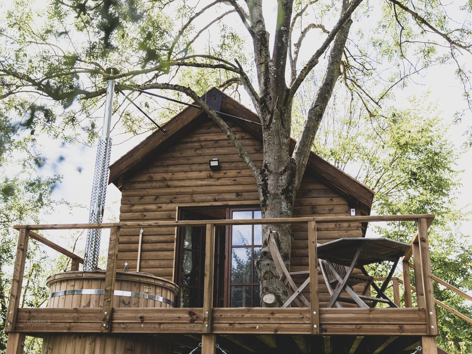 Bird Nest: Romantisch wellness chalet in het bos bij Durbuy - foto 5