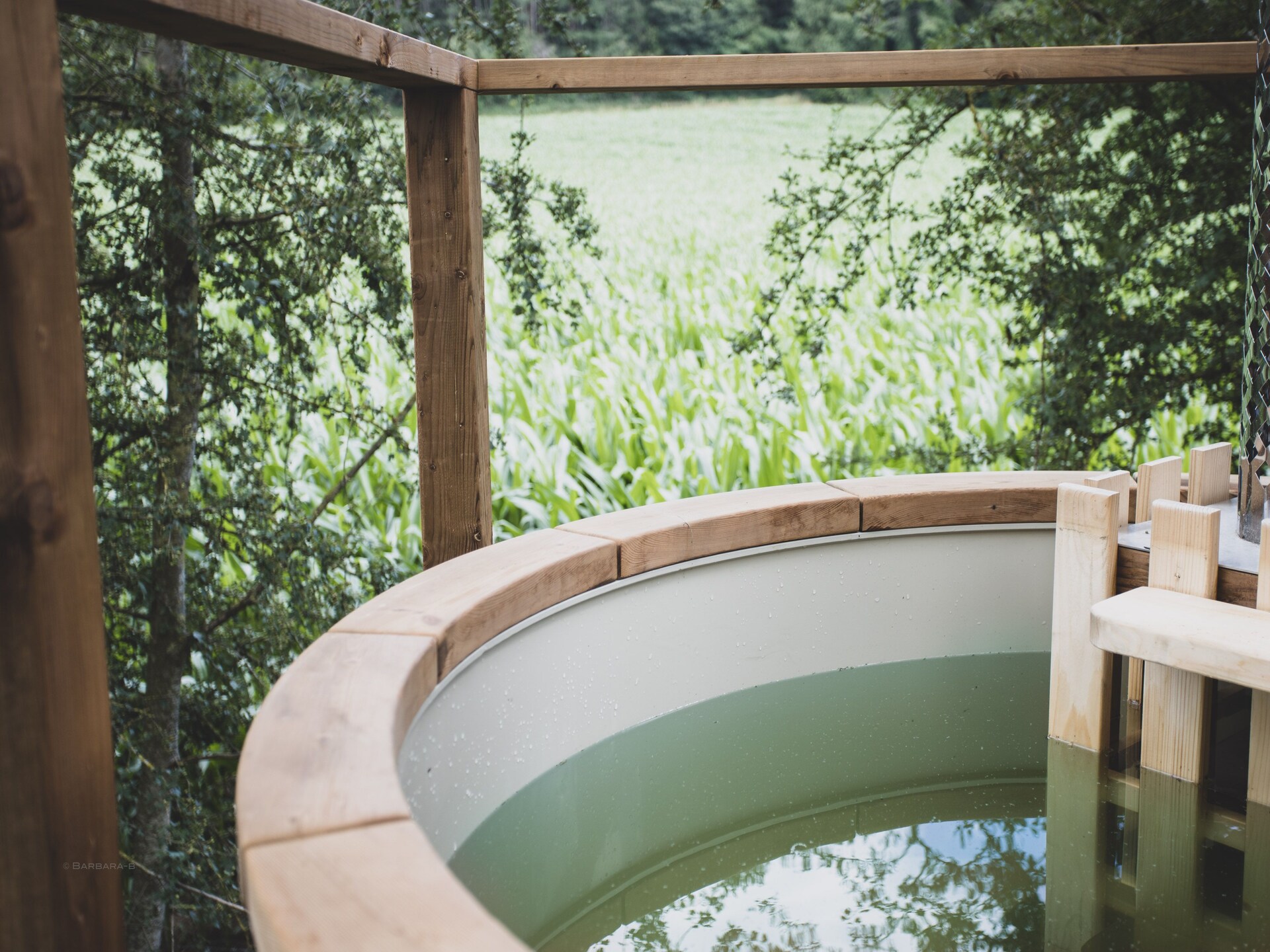 Bird Nest: Romantisch wellness chalet in het bos bij Durbuy - foto 10